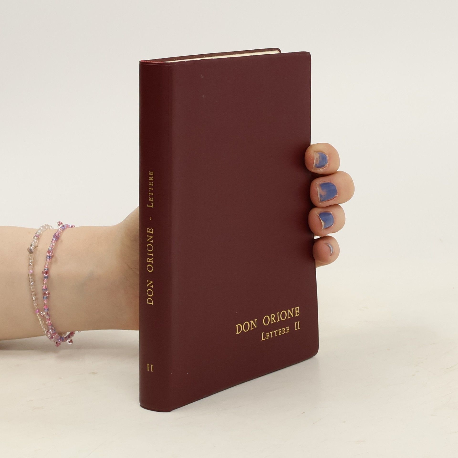 Don Luigi Orione Lettere II