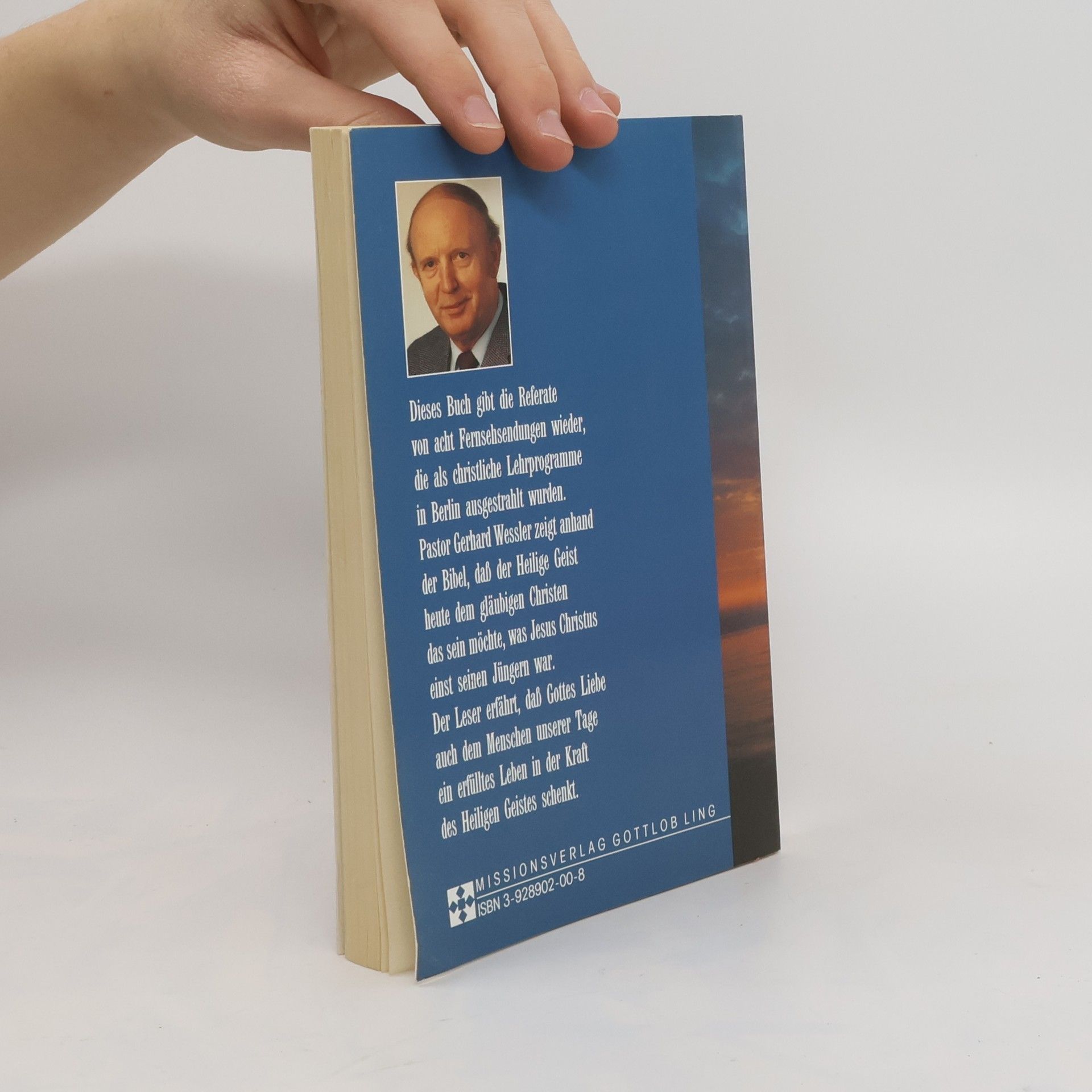 Gerhard Weßler Der Stellvertreter - Dein Helfer