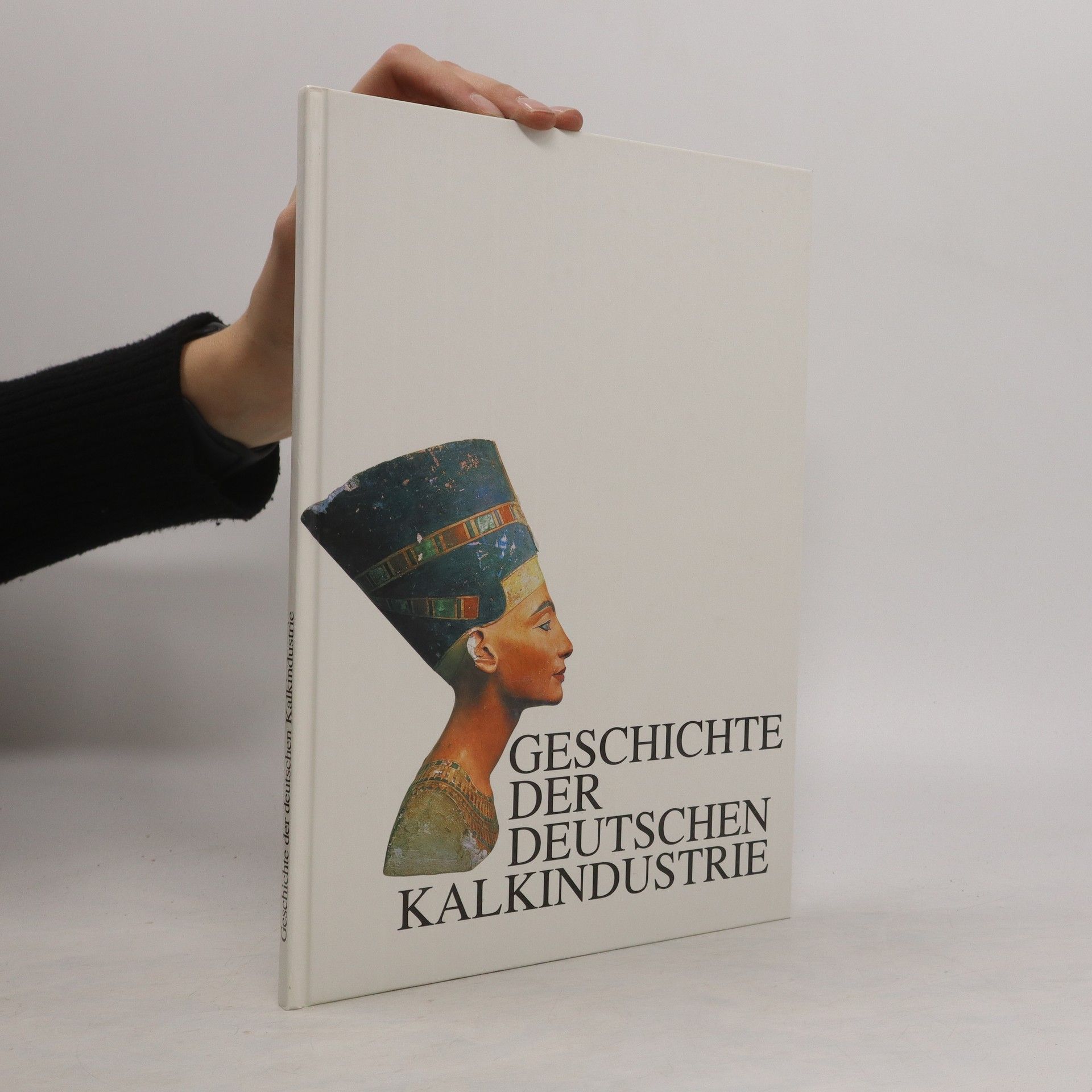 Autorenkollektiv Geschichte der deutschen Kalkindustrie