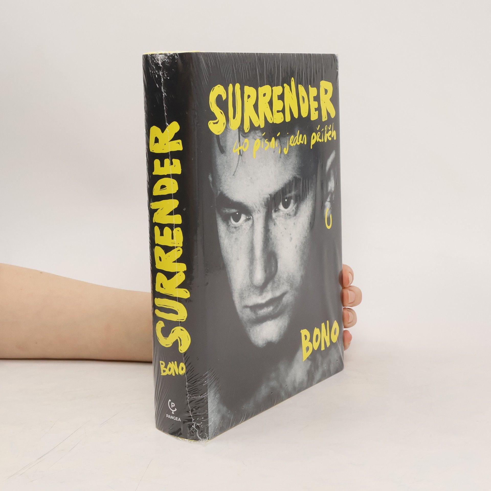 Bono Surrender : 40 písní, jeden příběh