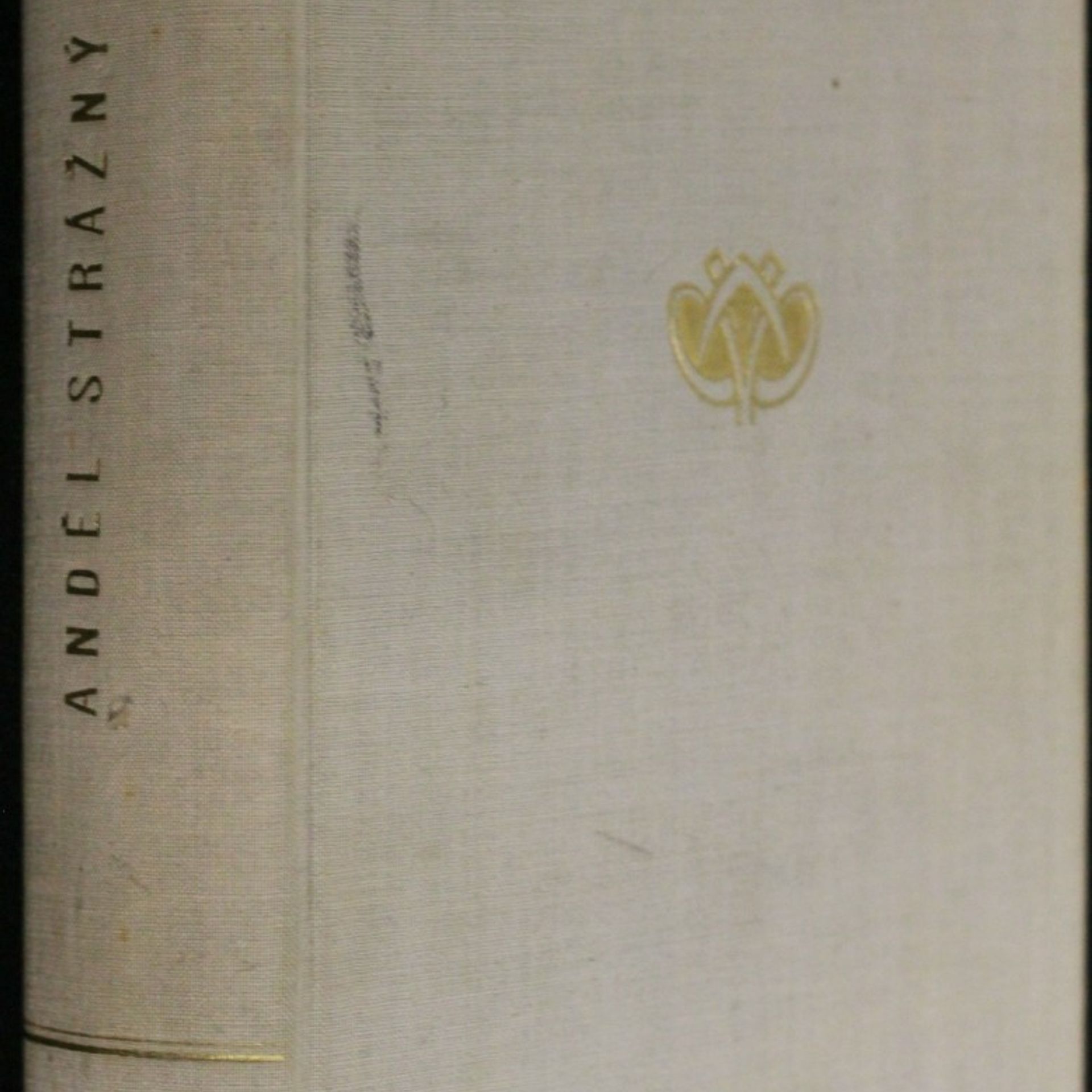 Kolektiv autorů Anděl strážný