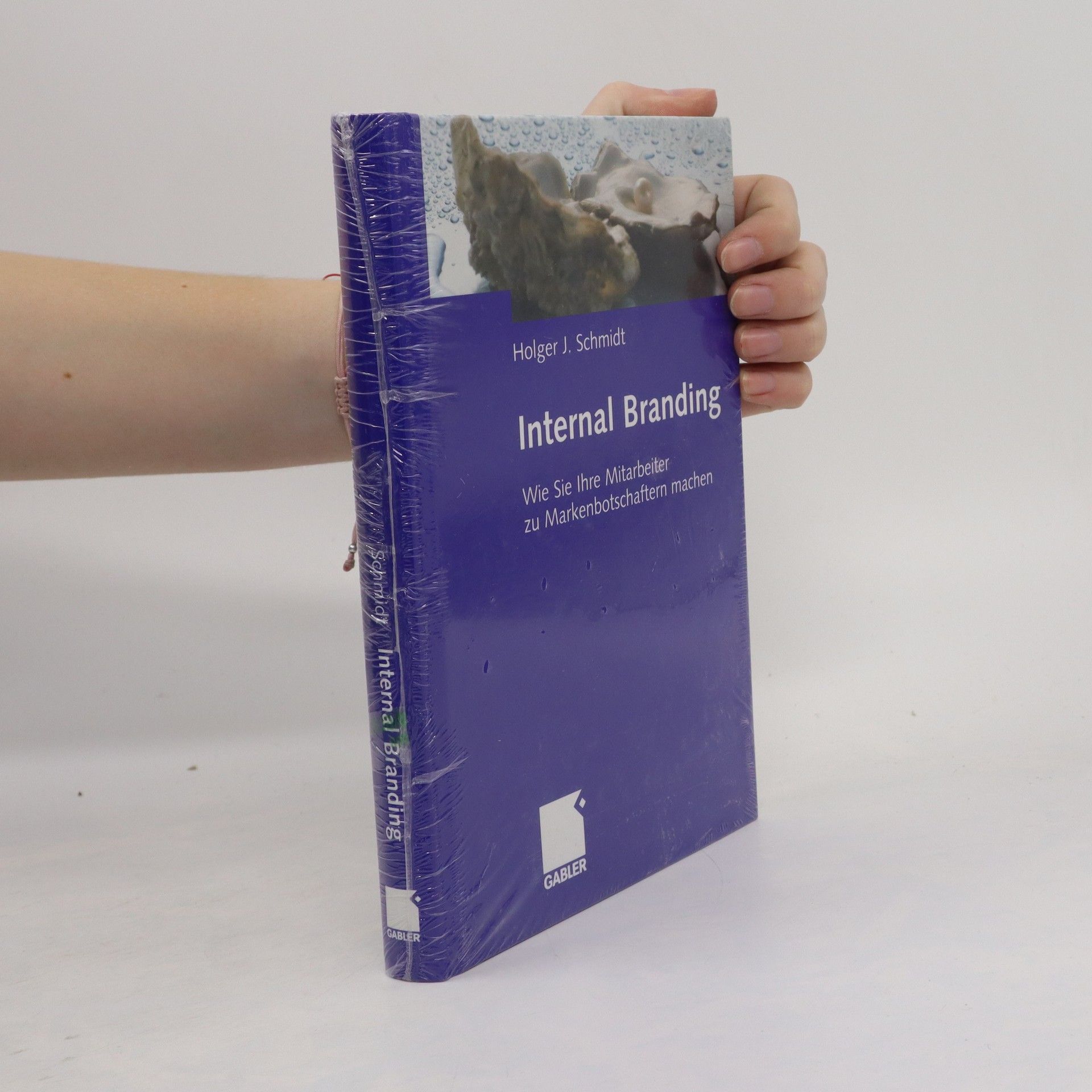 Holger J. Schmidt Internal Branding