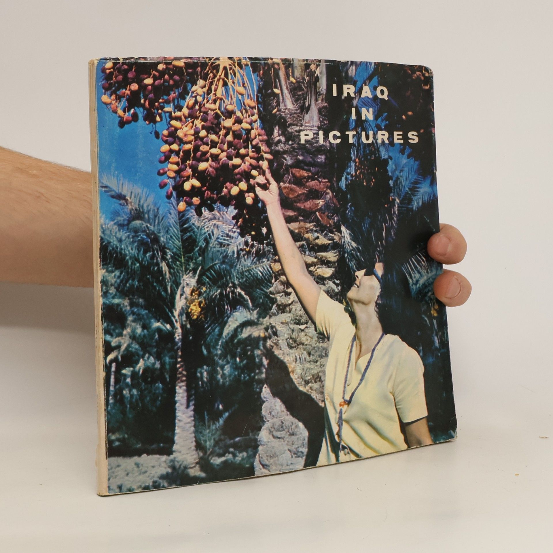 AA.VV. Iraq in Pictures