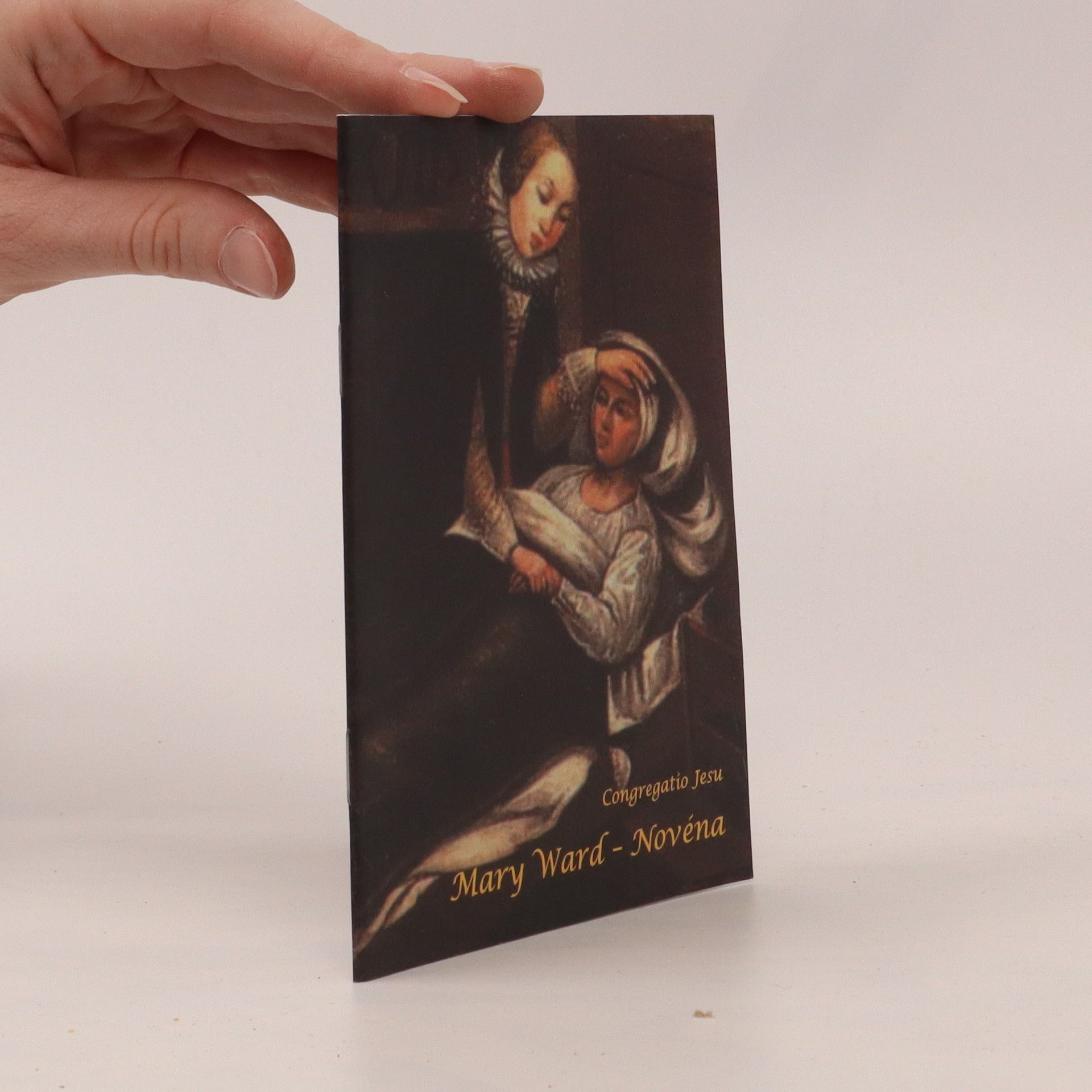 Kolektív autorov Mary Ward - Novéna 1585 - 1645