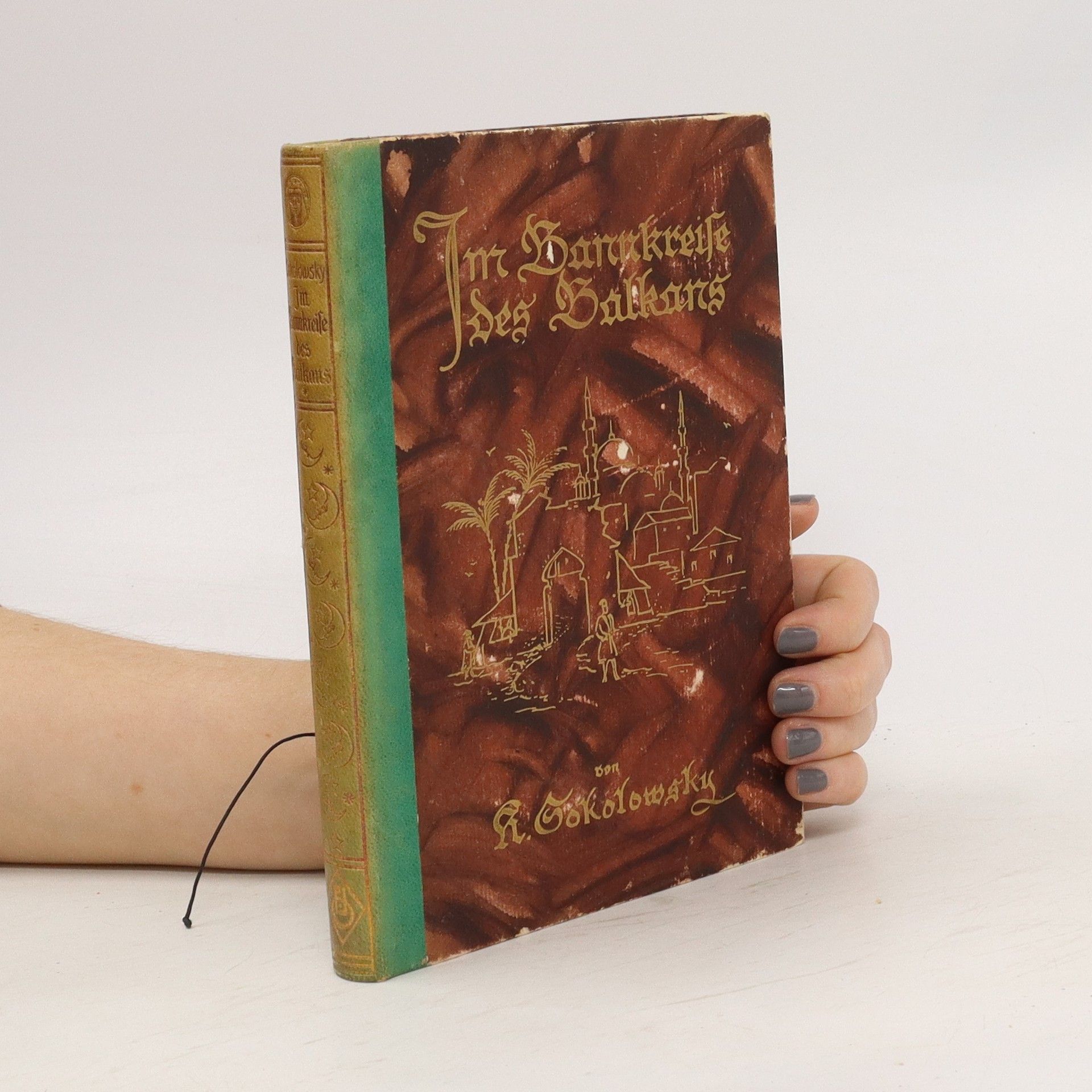 Karl Gokoloskij Im Bannkreise des Balkans