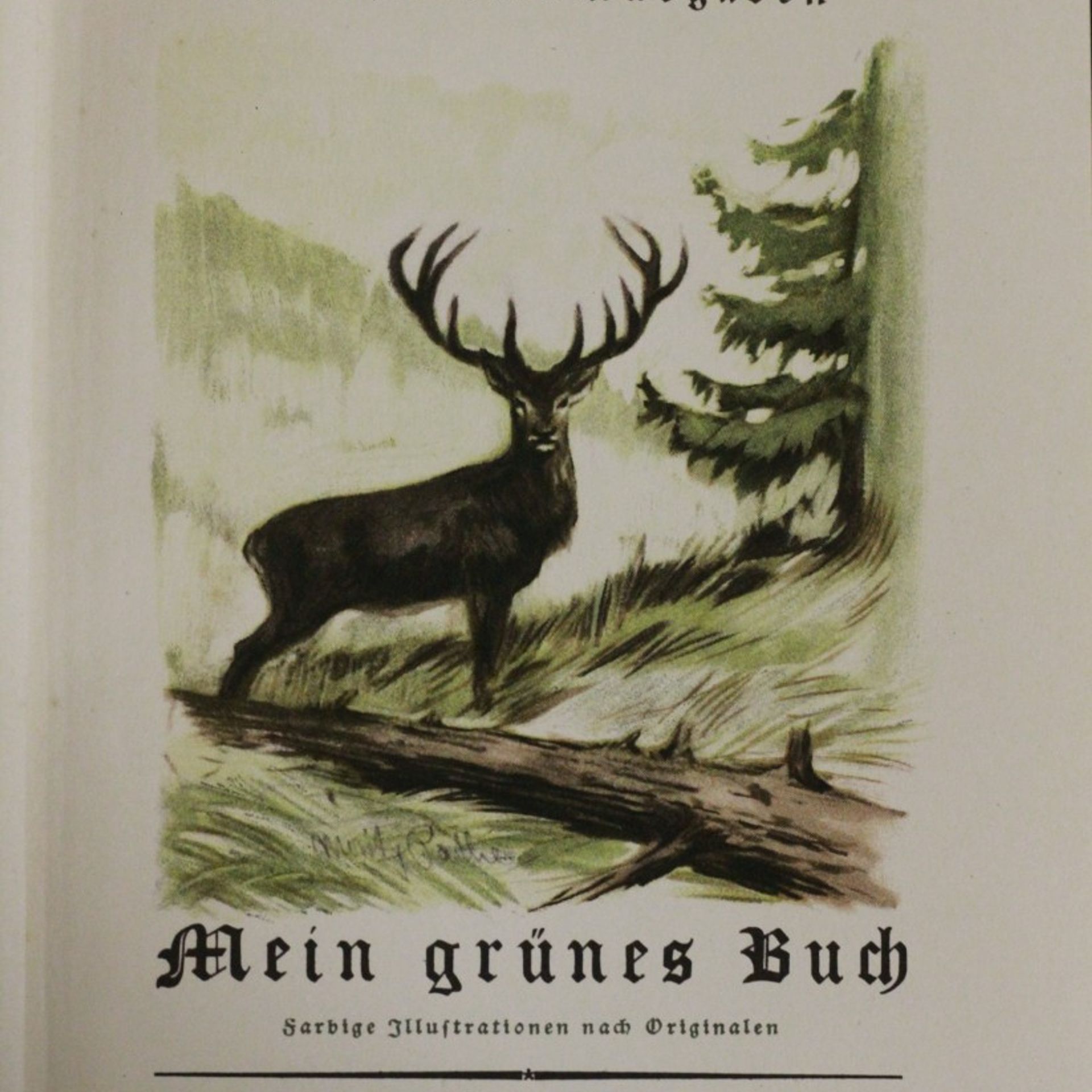 Hermann Löns Mein goldenes Buch, Junglaub