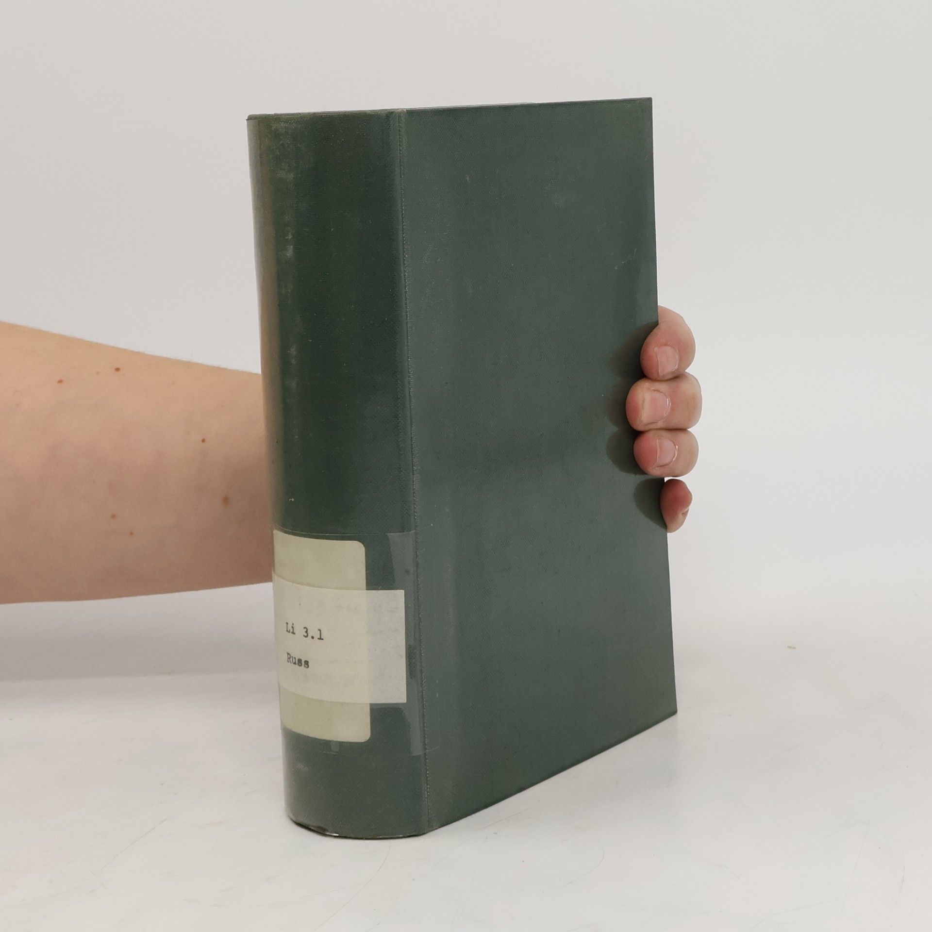 Russische Erzähler des XX. Jahrhunderts