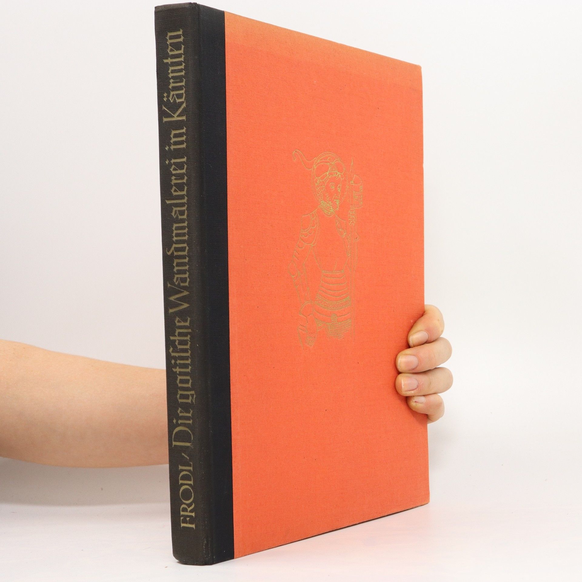 Autorenkollektiv Die gotische Wandmalerei in Kärnten