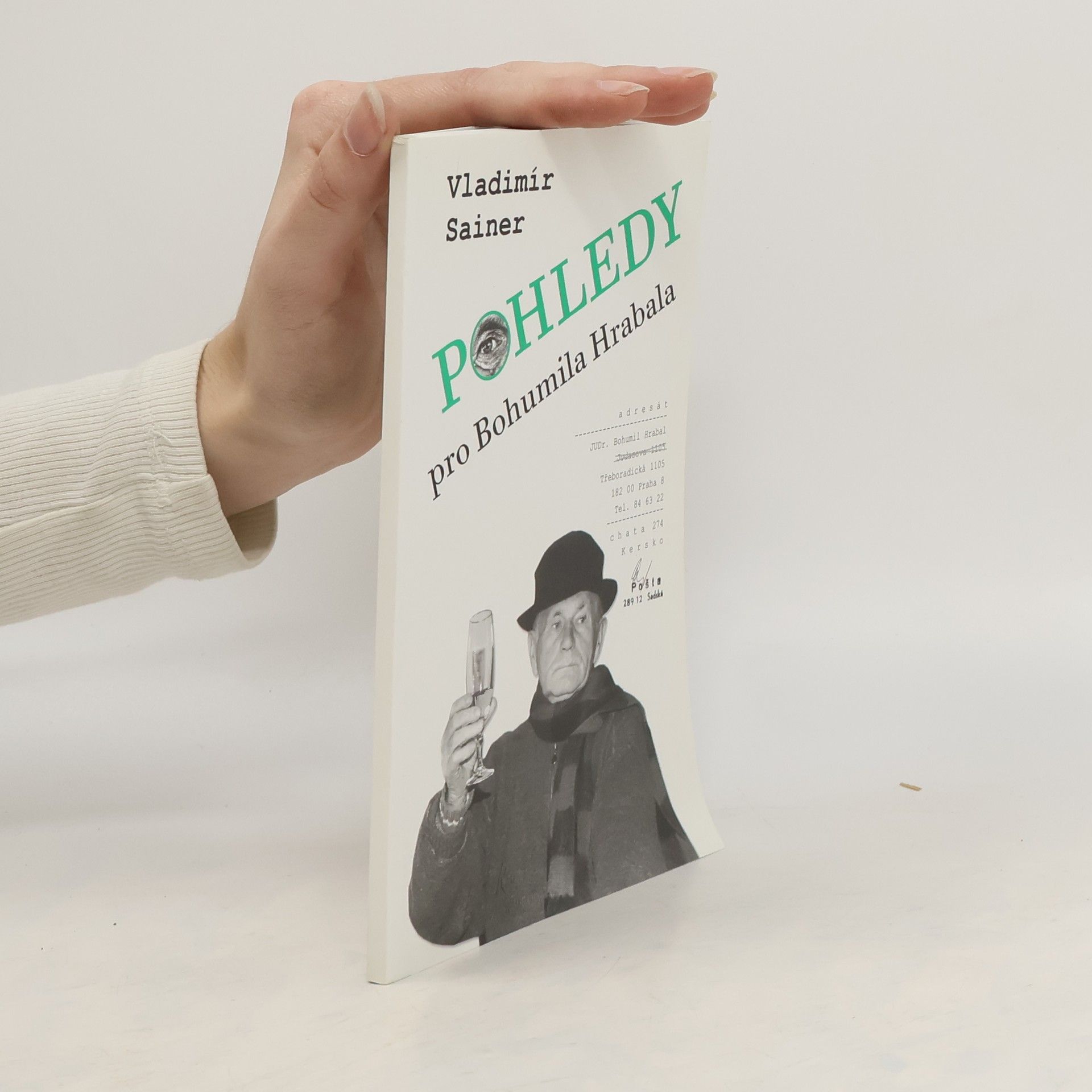 Vladimír Sainer Pohledy pro Bohumila Hrabala