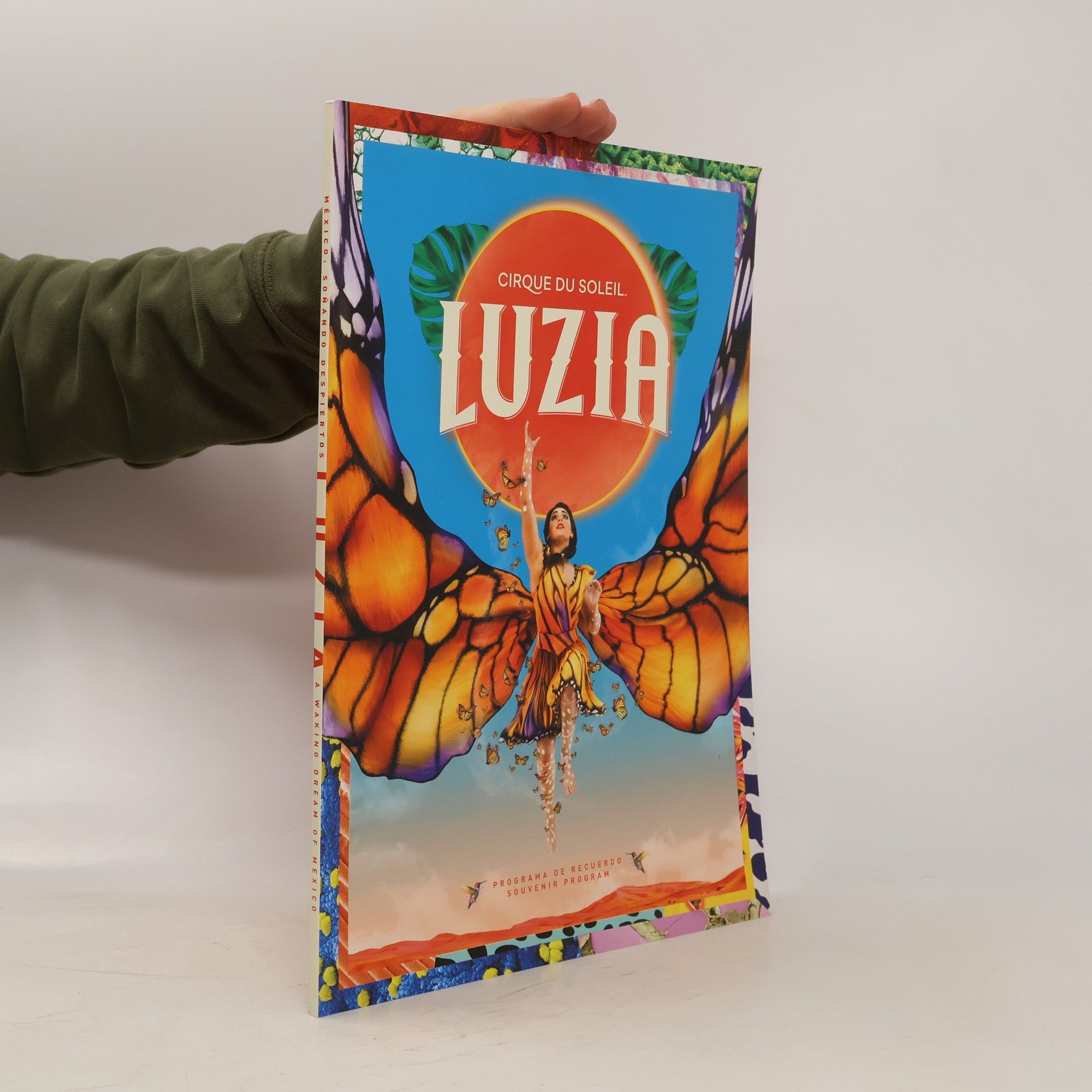 Various authors Cirque du soleil Luzia.