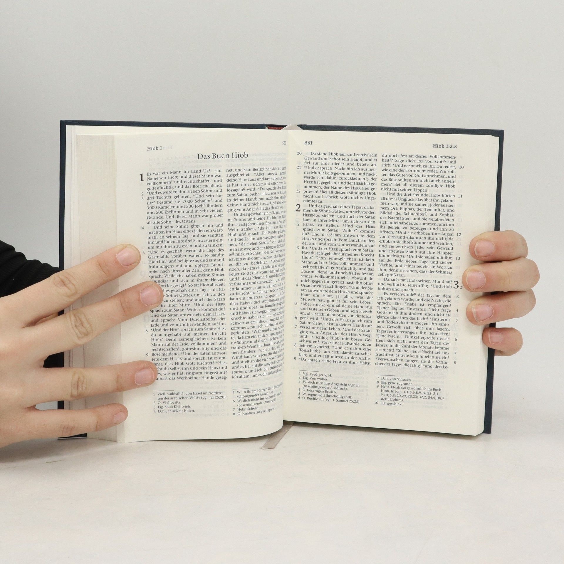Autorenkollektiv Die Bibel