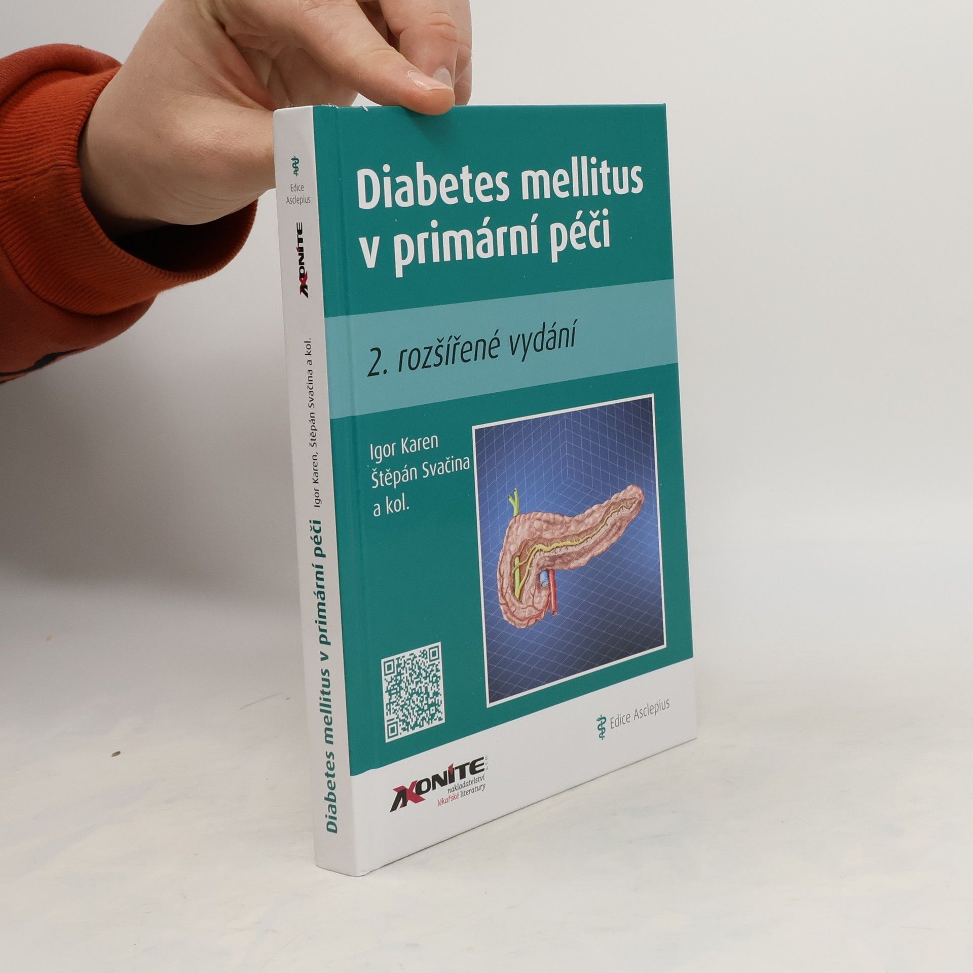Collectif d'auteurs Diabetes mellitus v primární péči