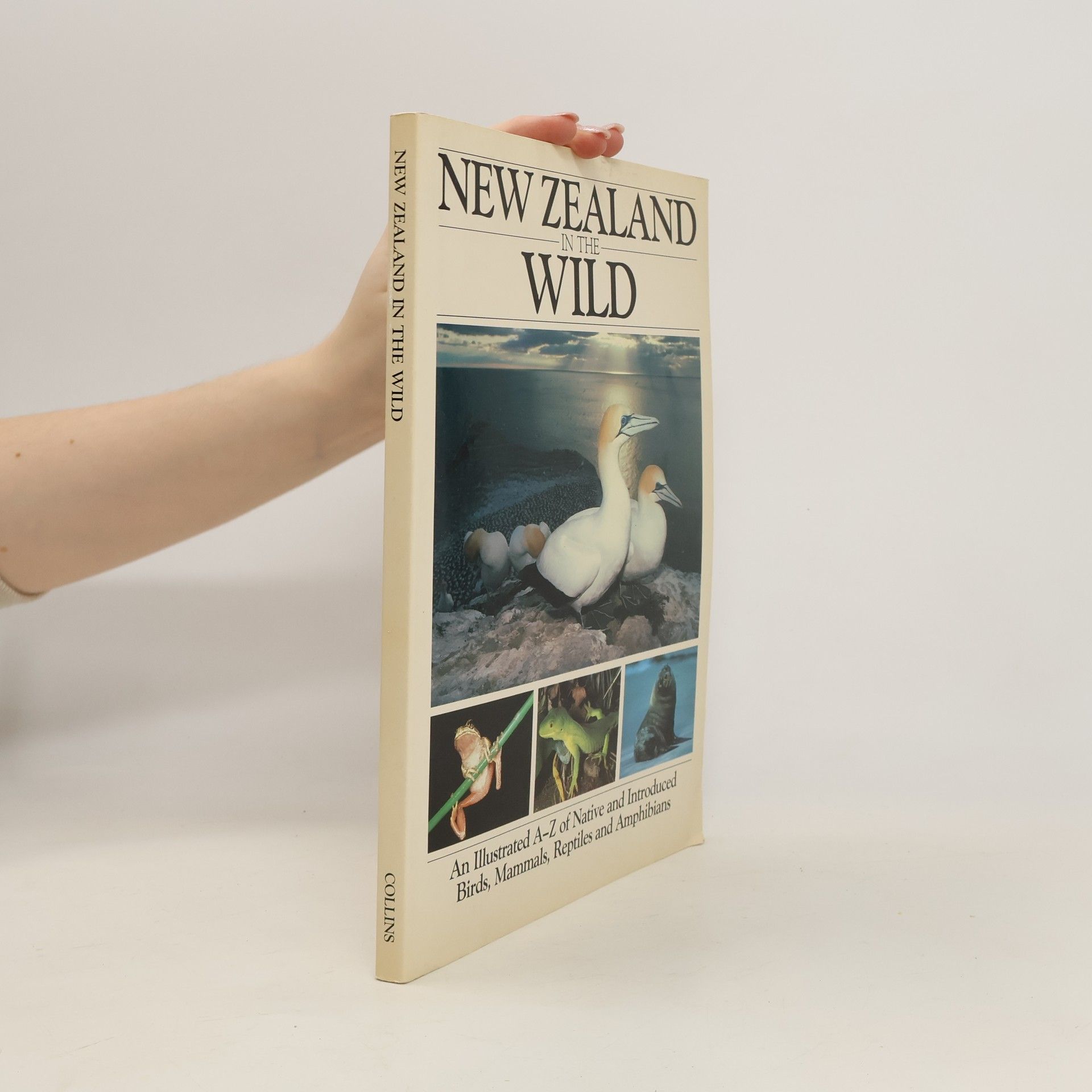 Stephen R. Barnett New Zealand in the Wild