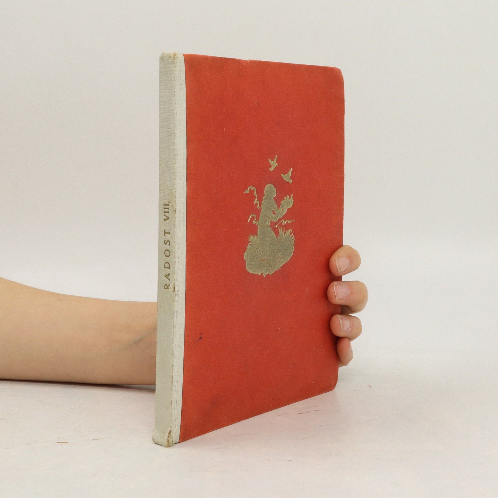 Kolektiv autorů Radost VIII