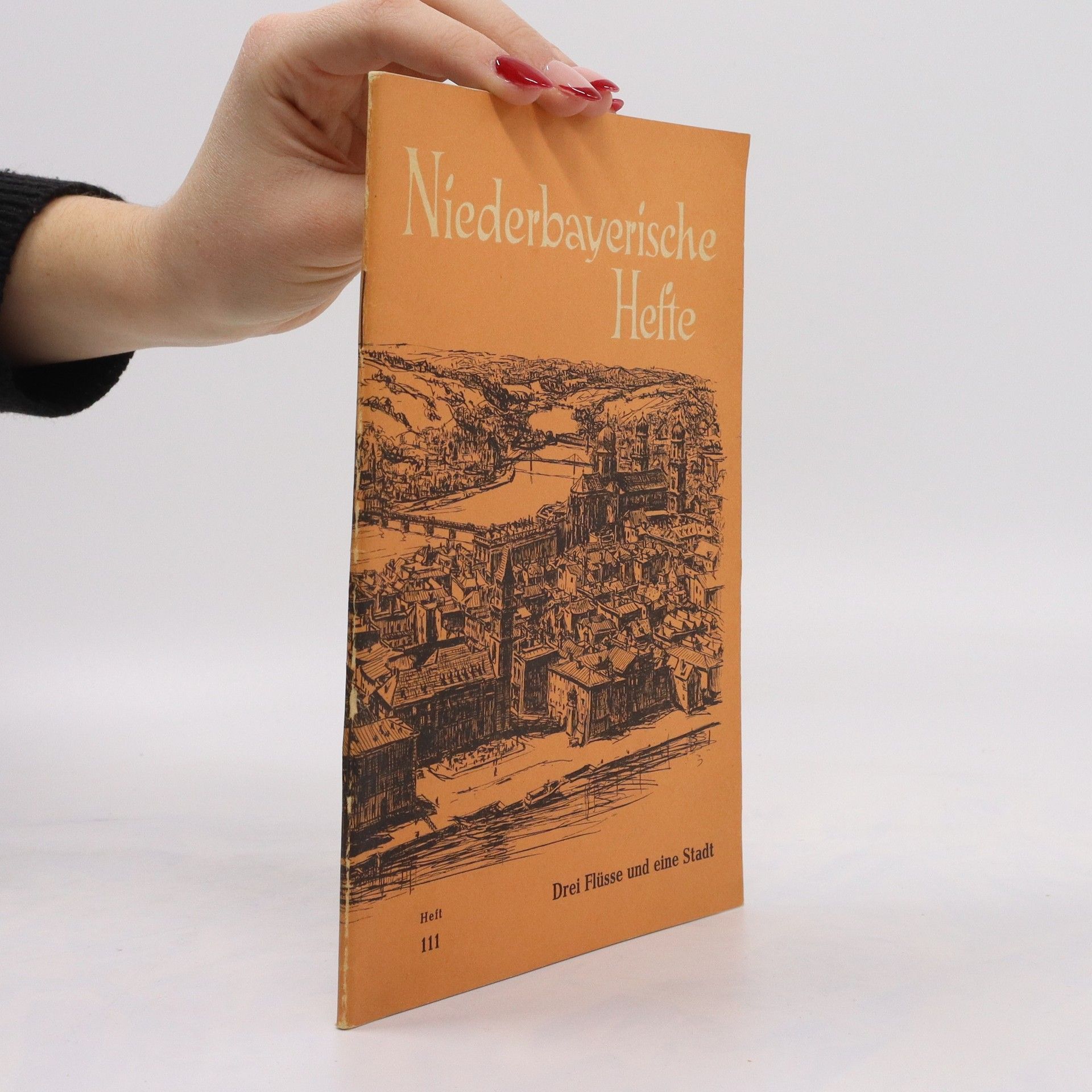 Otto Geyer Drei Flüsse und eine Stadt