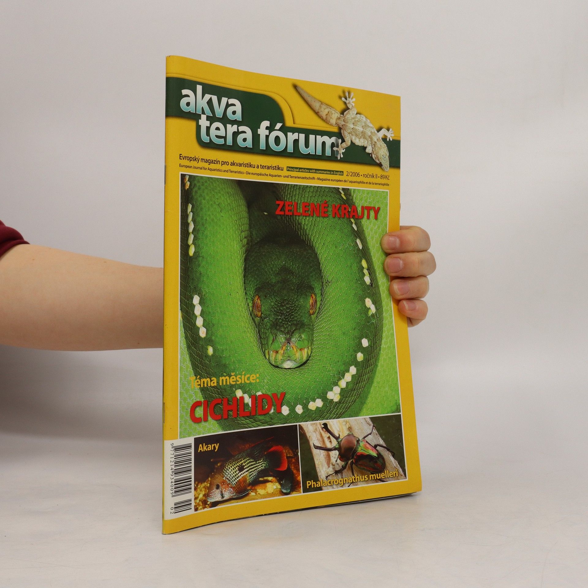 Auteurscollectief Akvatera fórum 2/2006