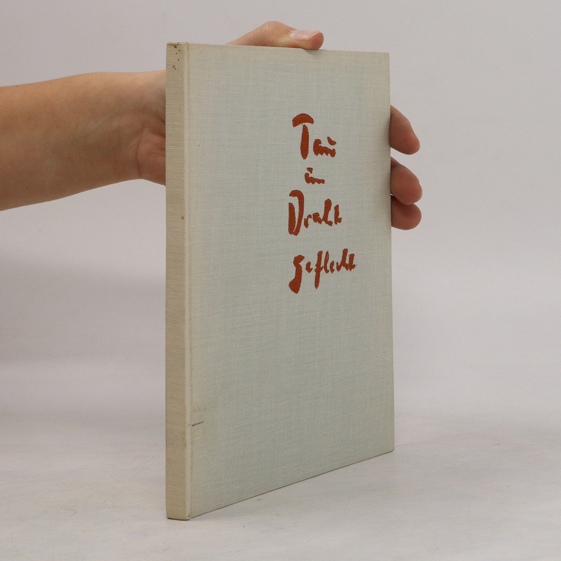 Cornelius Streiter Tau im Drahtgeflecht