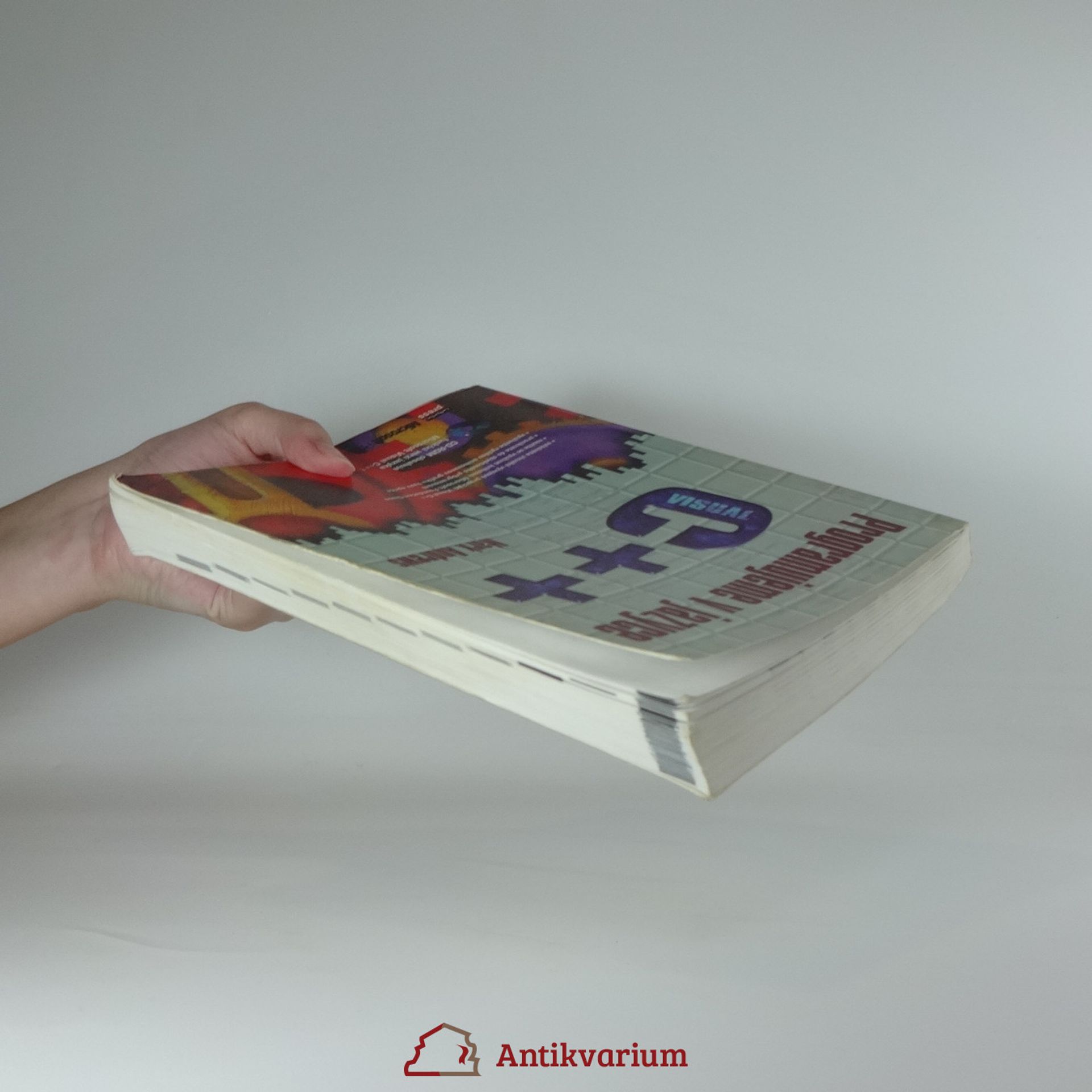 Mark Andrews Programujeme v jazyce Visual C++
