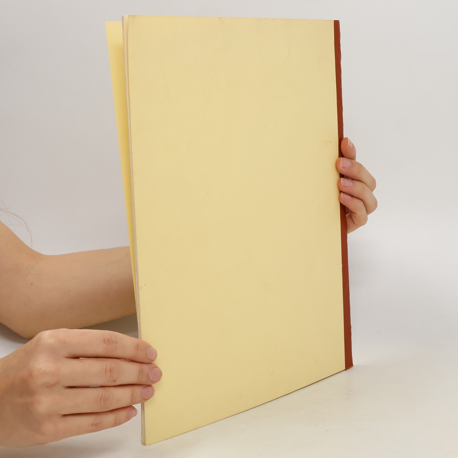 kolektiv Das Kleine Blatt