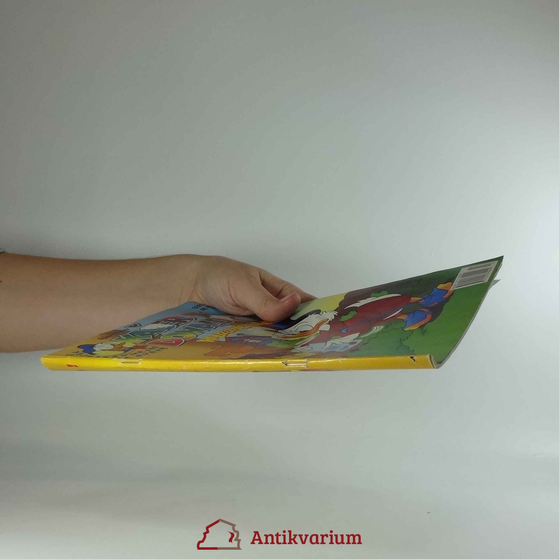 Kolektiv autorů Kačer Donald 1/2002