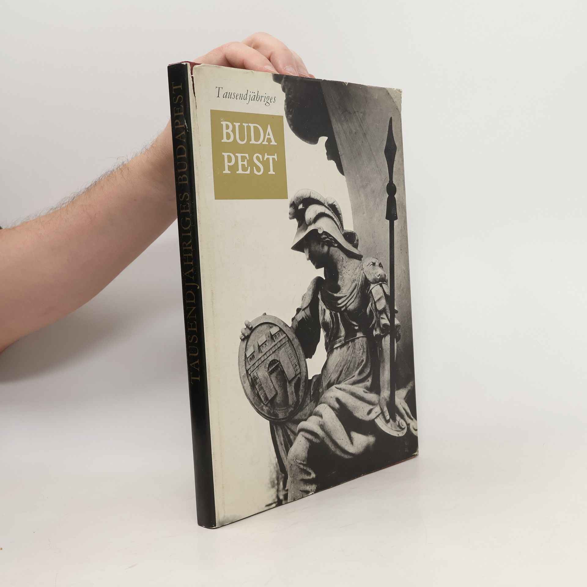 Autorenkollektiv Tausenjähriges Budapest