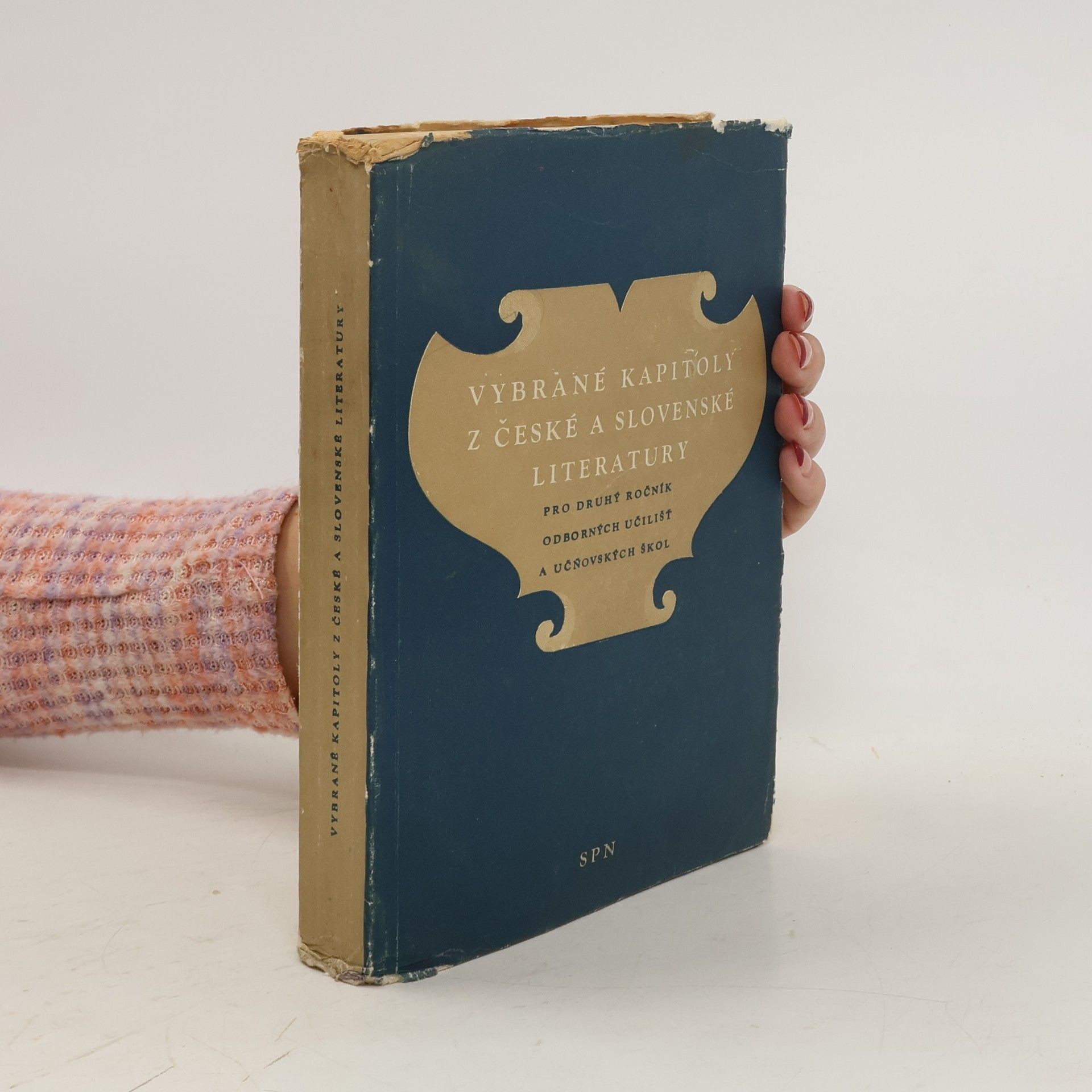 kolektiv Vybrané kapitoly z české a slovenské literatury. Pro druhý ročník odborných učilišt a učňovských škol