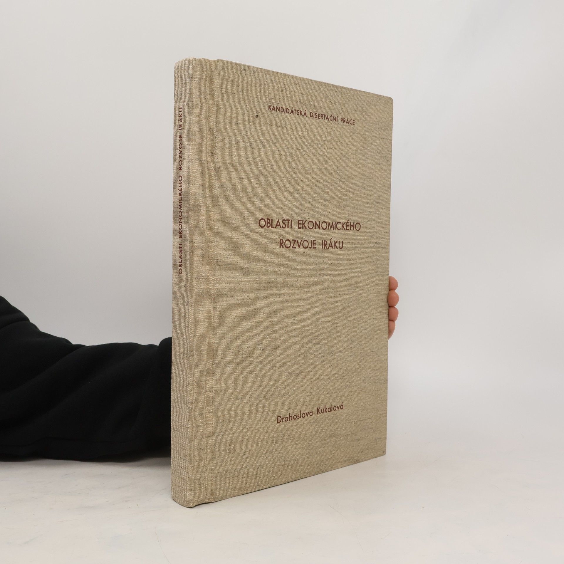 Collectif d'auteurs Oblasti ekonomického rozvoje iráku