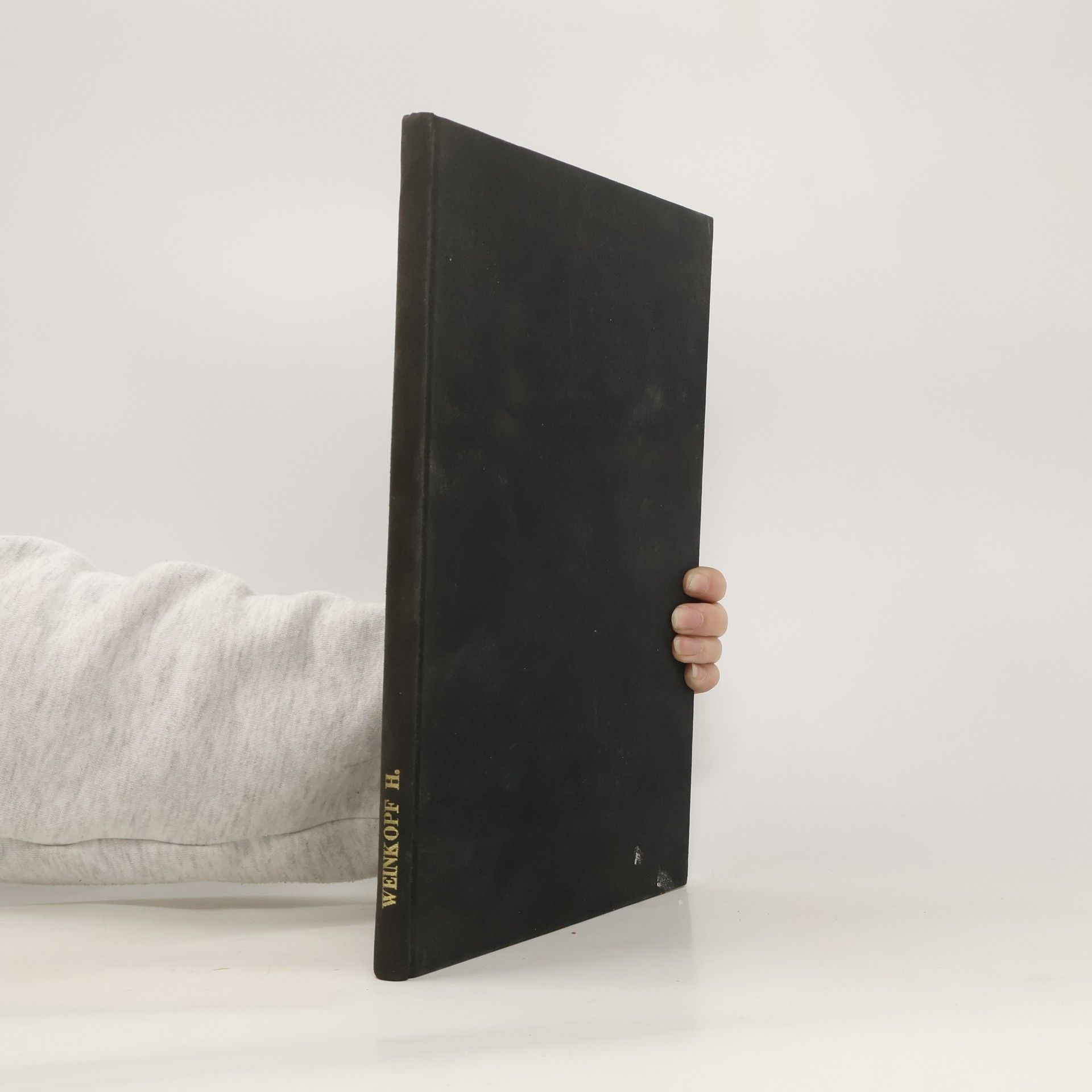 Horst Weinkopf Technologie-Beherrschbarkeits-Katalog