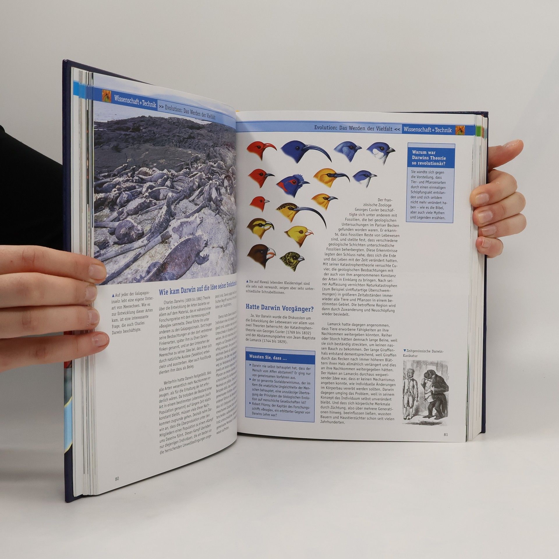 Autorenkollektiv Das große Buch der Allgemein Bildung