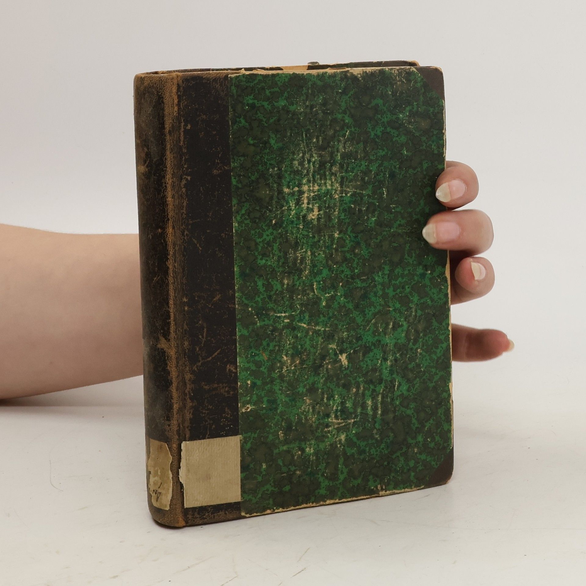 Vilém Ambrož Pestré kvítí