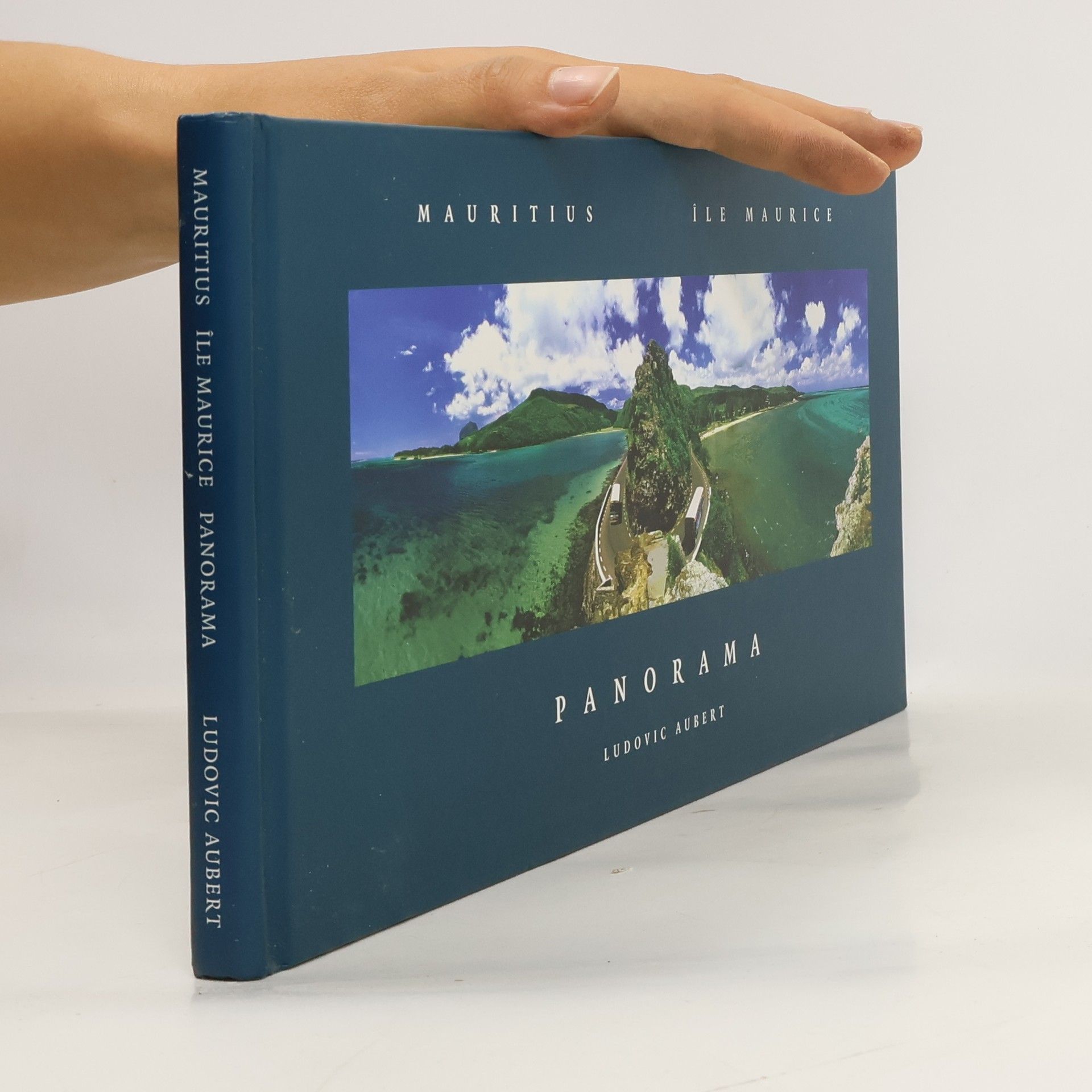Ludovic Aubert Panorama