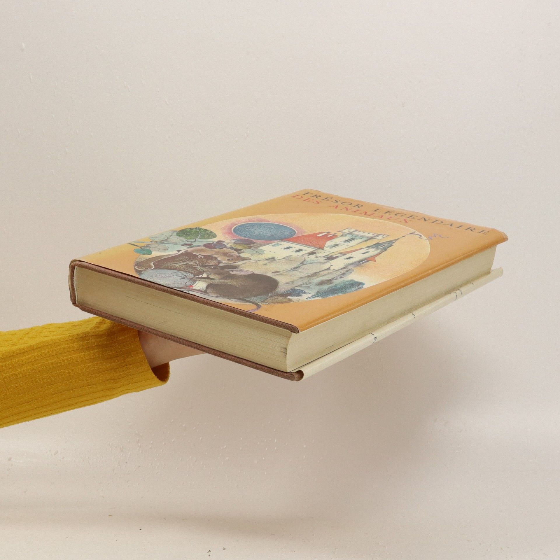 Autorenkollektiv Trésor légendaire des animaux