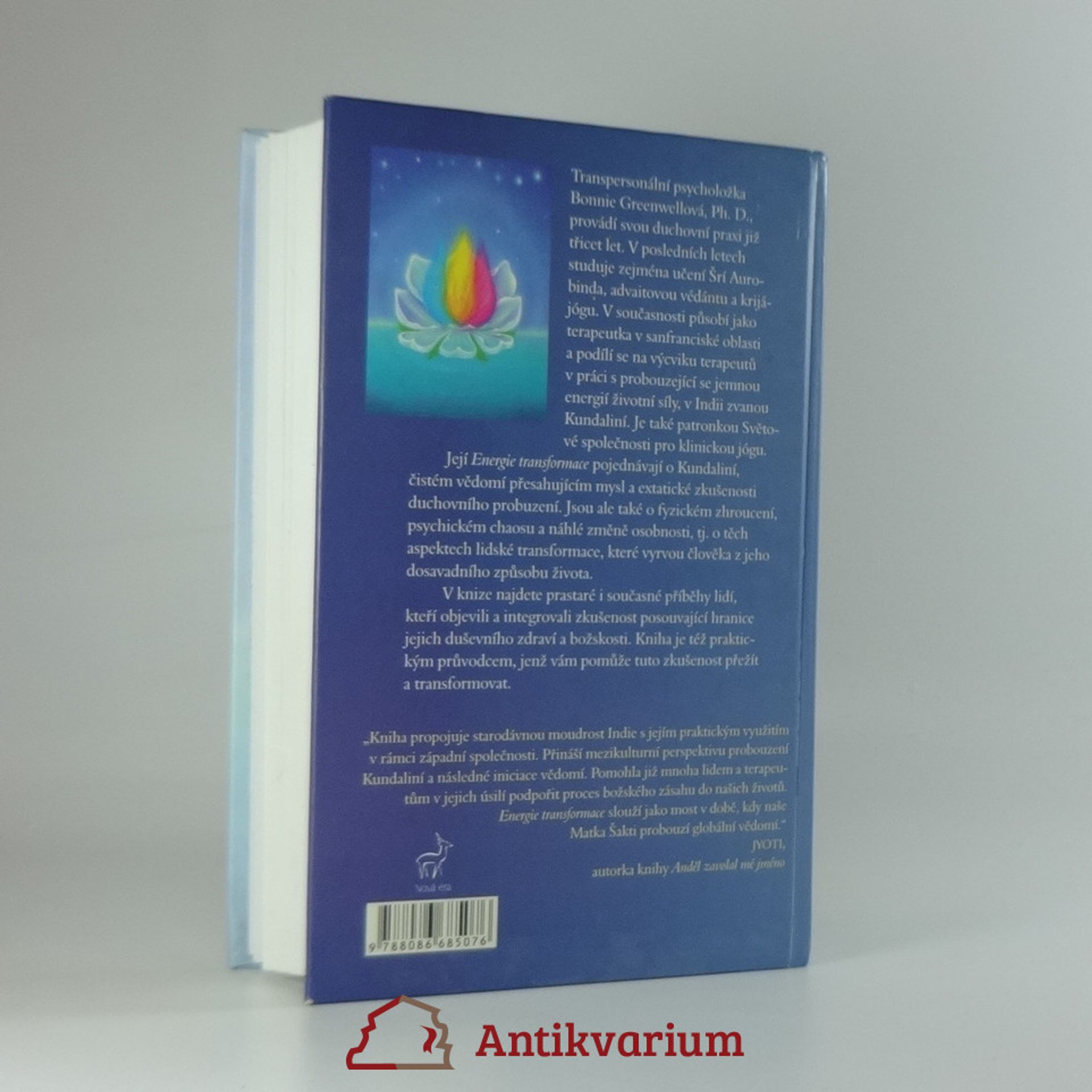 Bonnie Greenwell Energie transformace