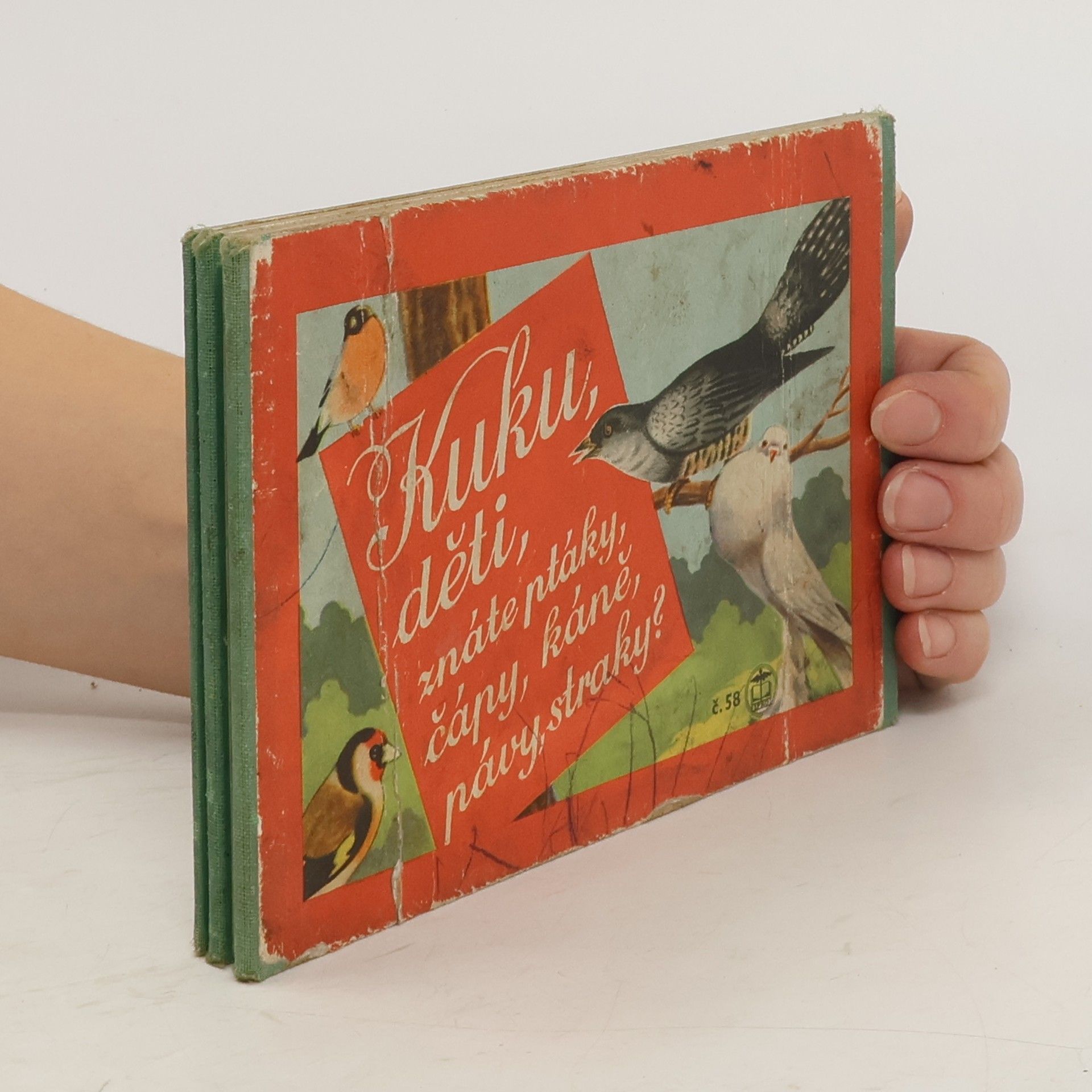 AA.VV. Kuku, děti, znáte ptáky, čápy, káně, pávy, straky?