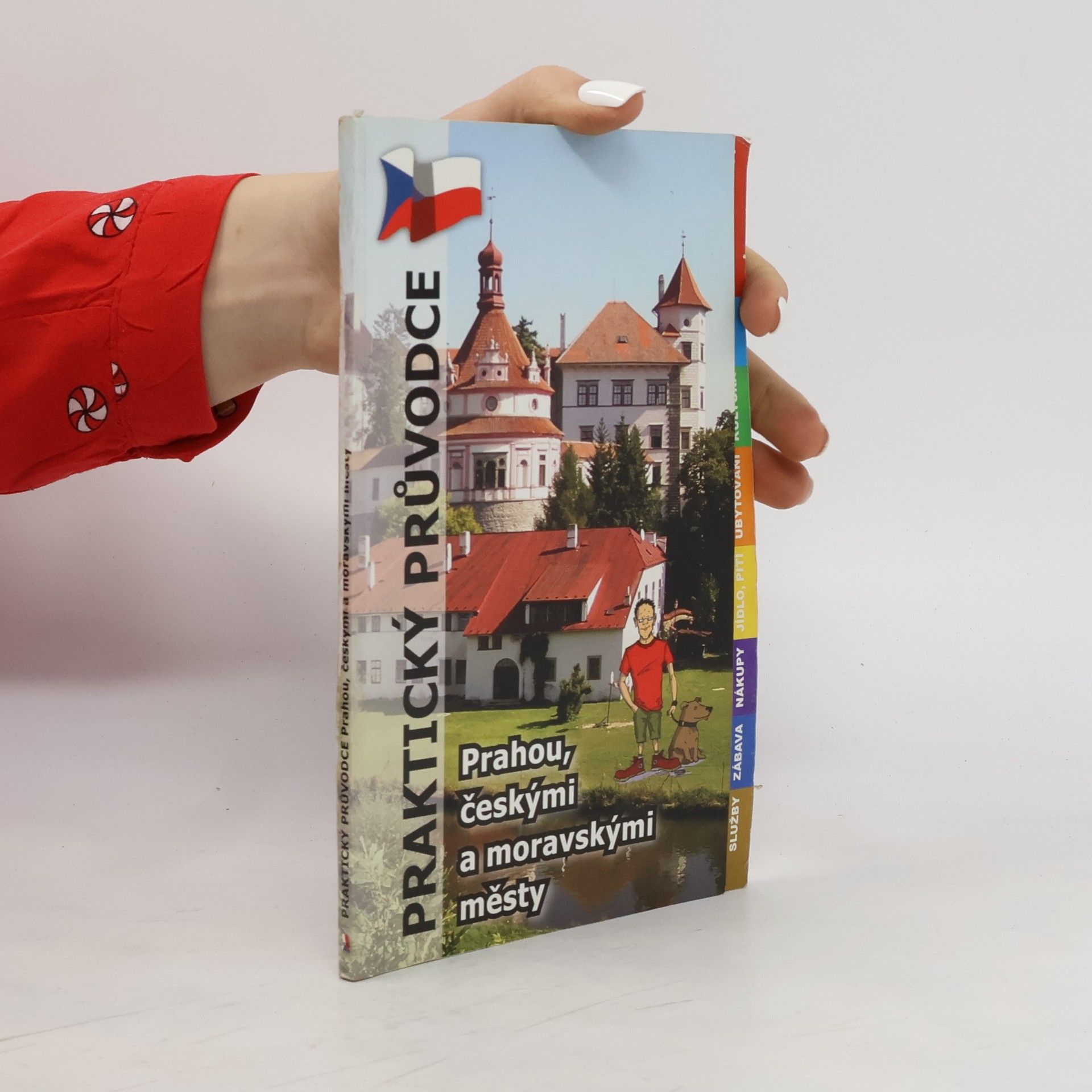 Auteurscollectief Praktický průvodce Prahou, českými a moravskými městy