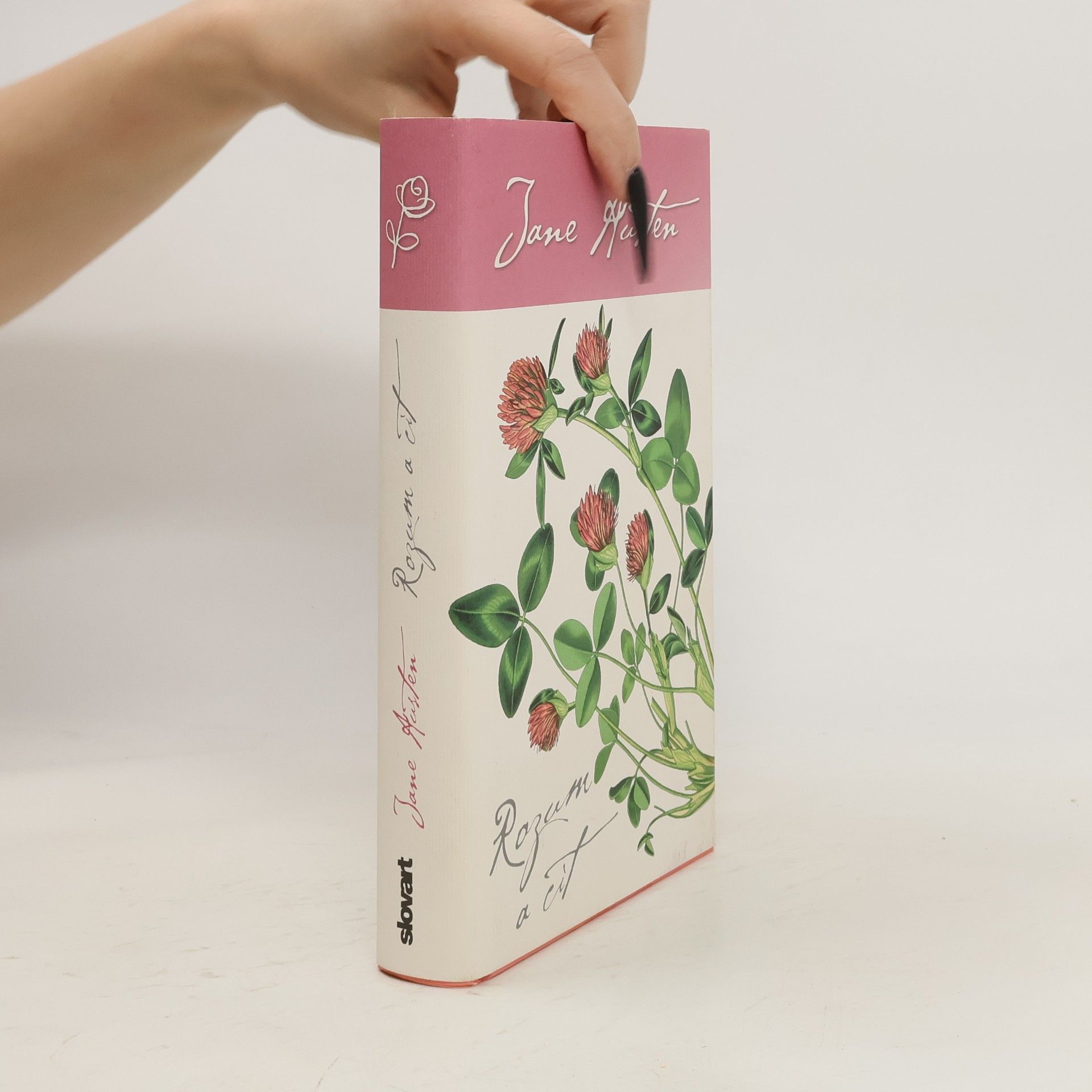 Jane Austen Rozum a cit