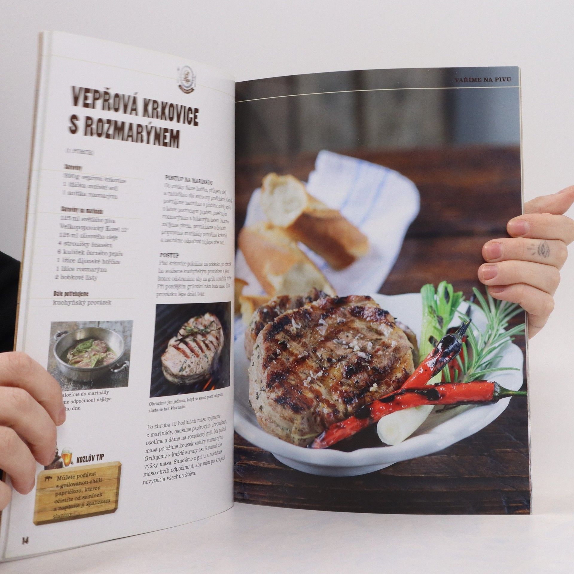 Autorenkollektiv S Kozlem na grilu
