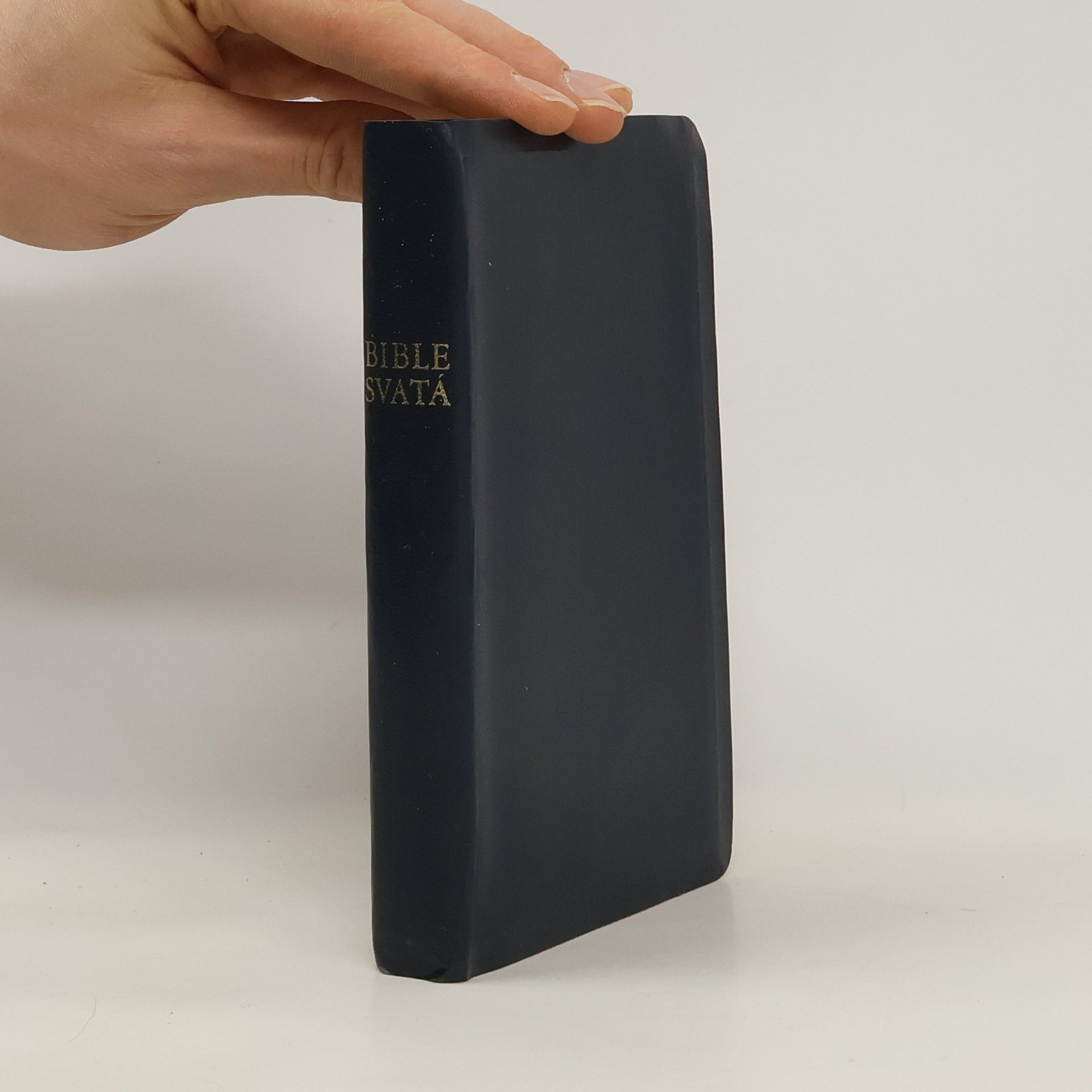 Kolektiv autorů Bible svatá