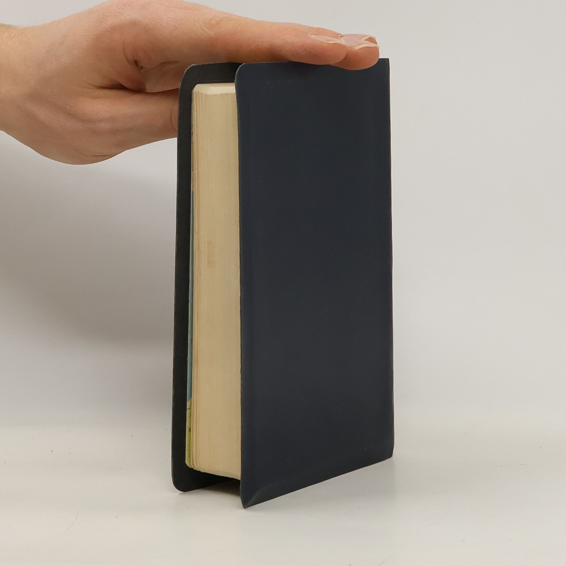 Kolektiv autorů Bible svatá