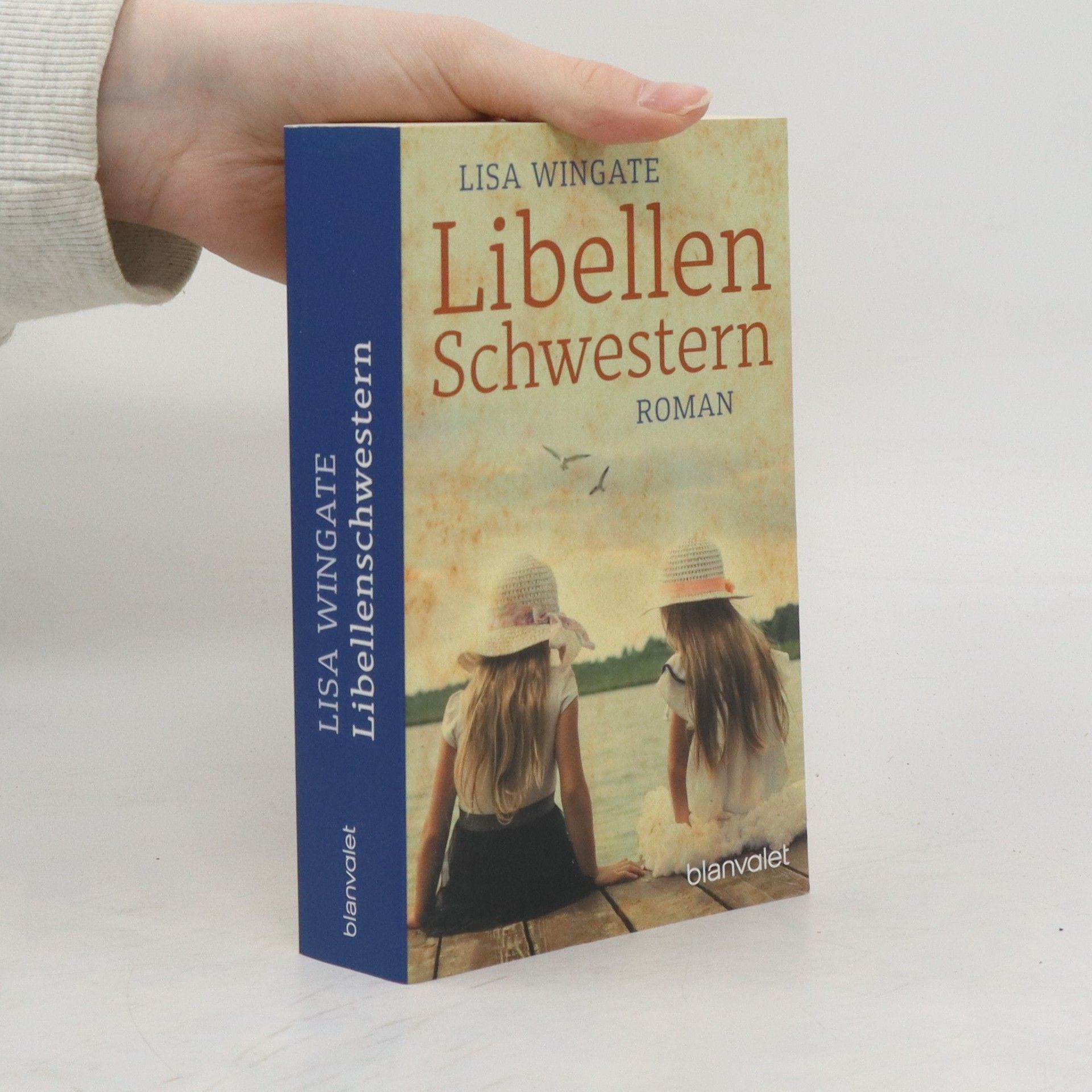 Lisa Wingate Libellenschwestern