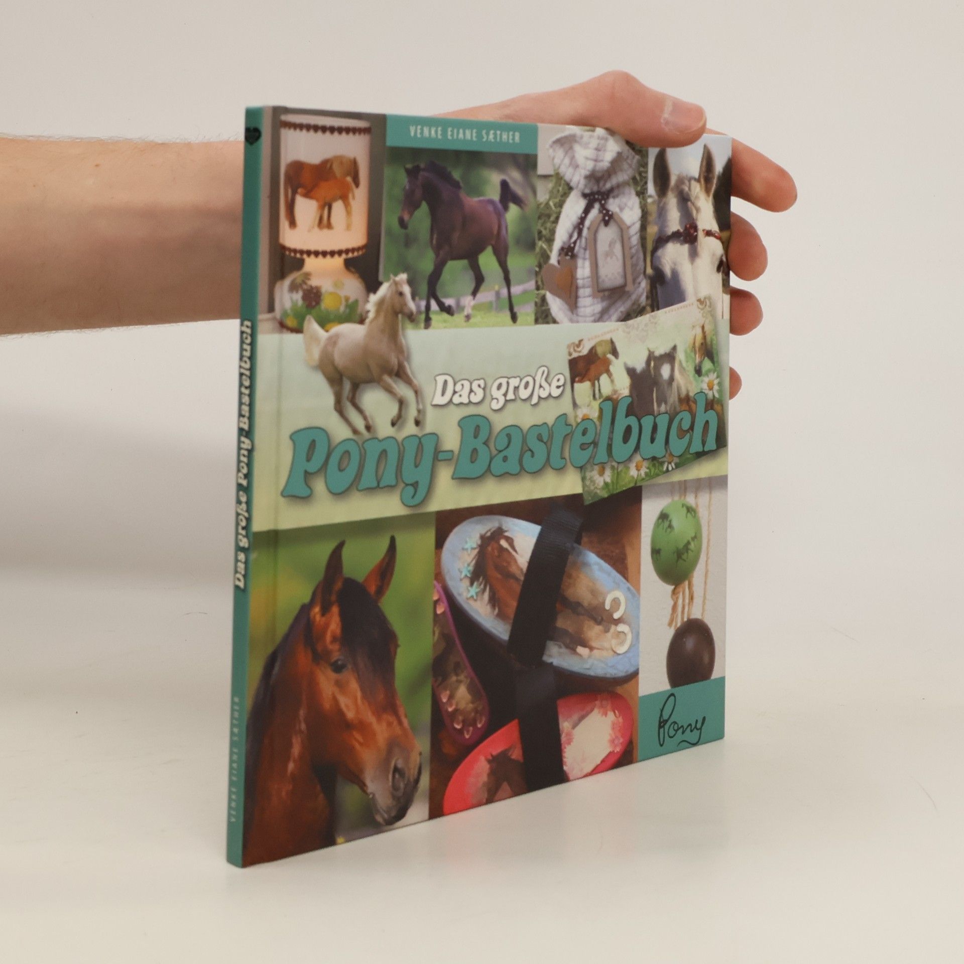 Autorenkollektiv Das große Pony-Bastelbuch