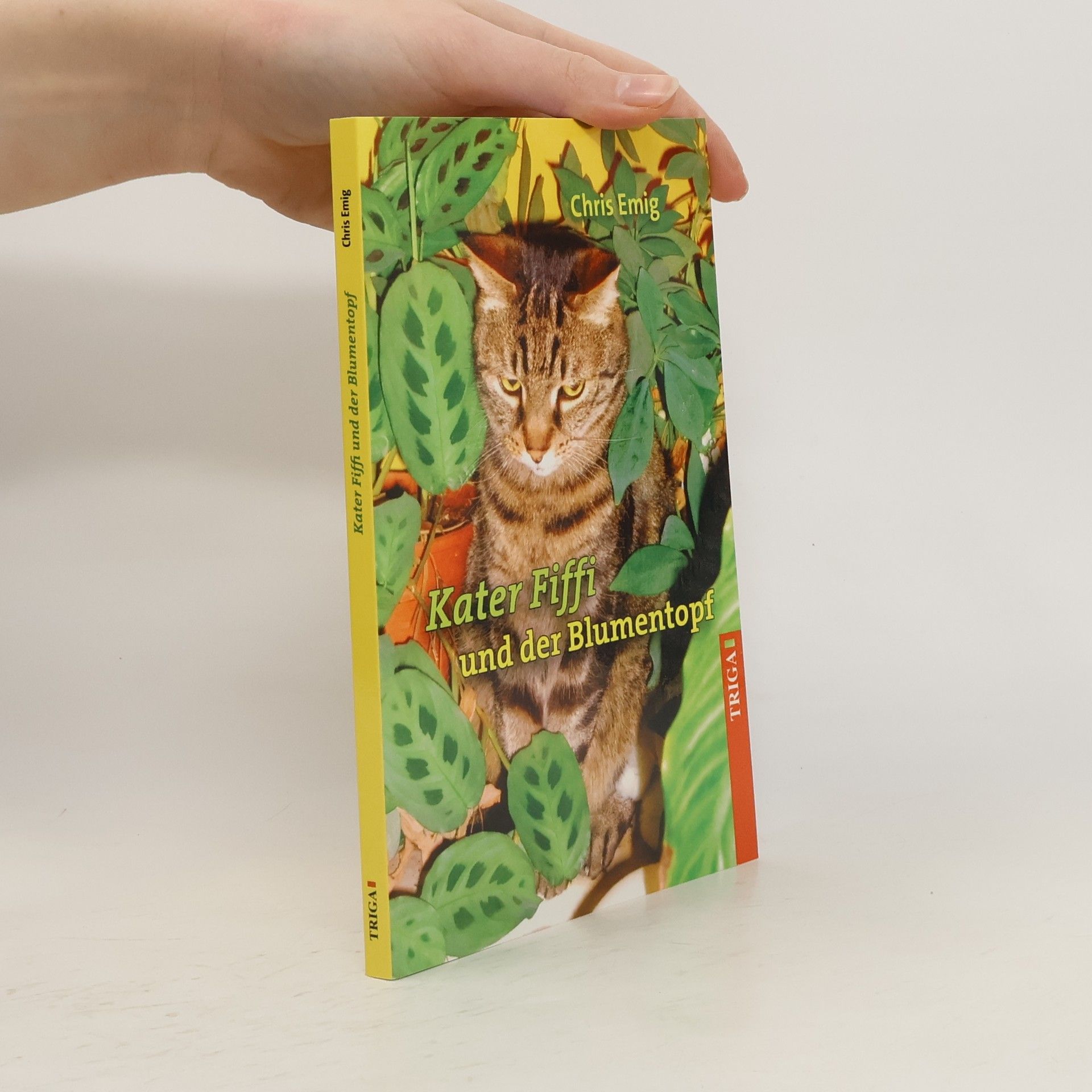 Chris Emig Kater Fiffi und der Blumentopf