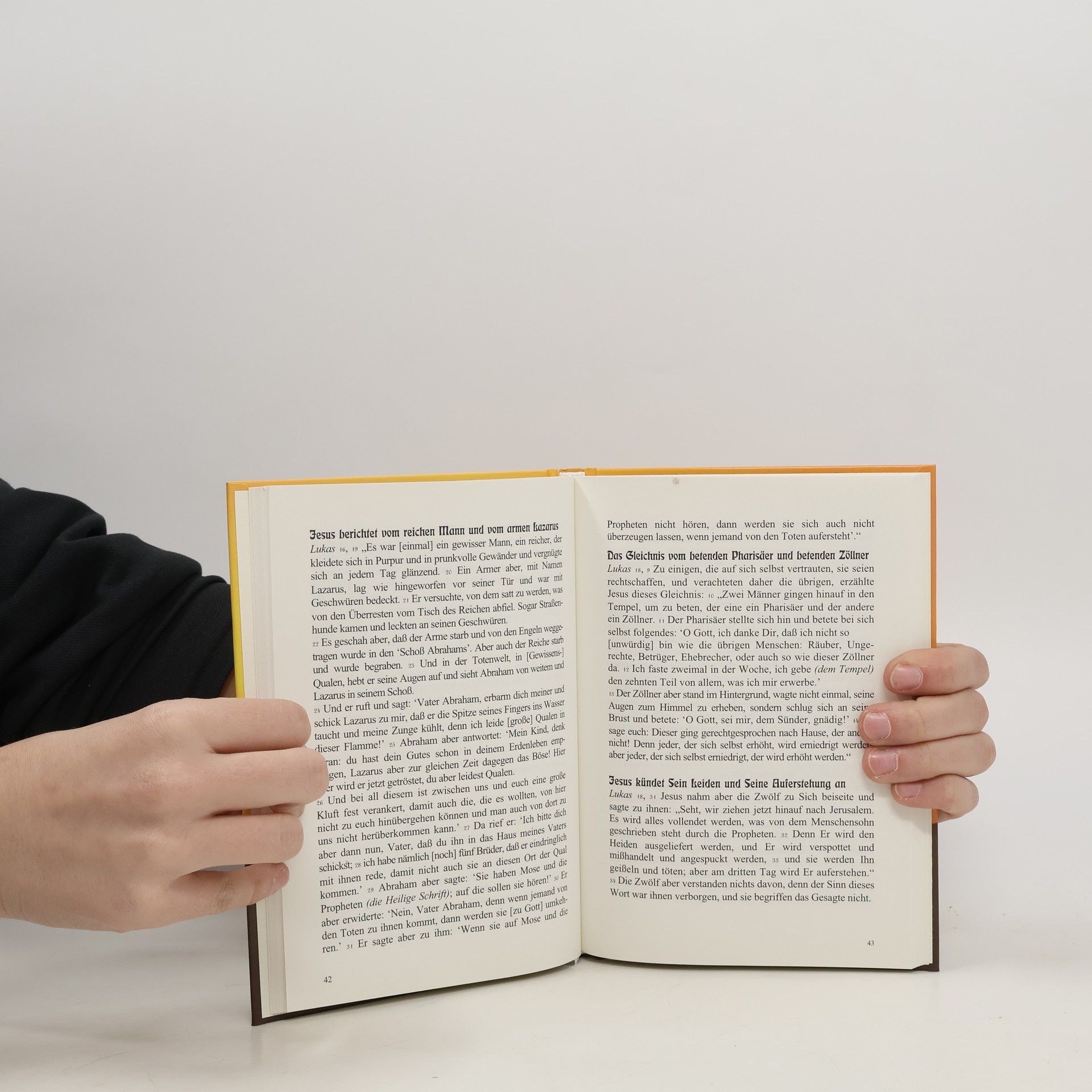 Autorenkollektiv Das Evangelium. Die Freundenbotschaft