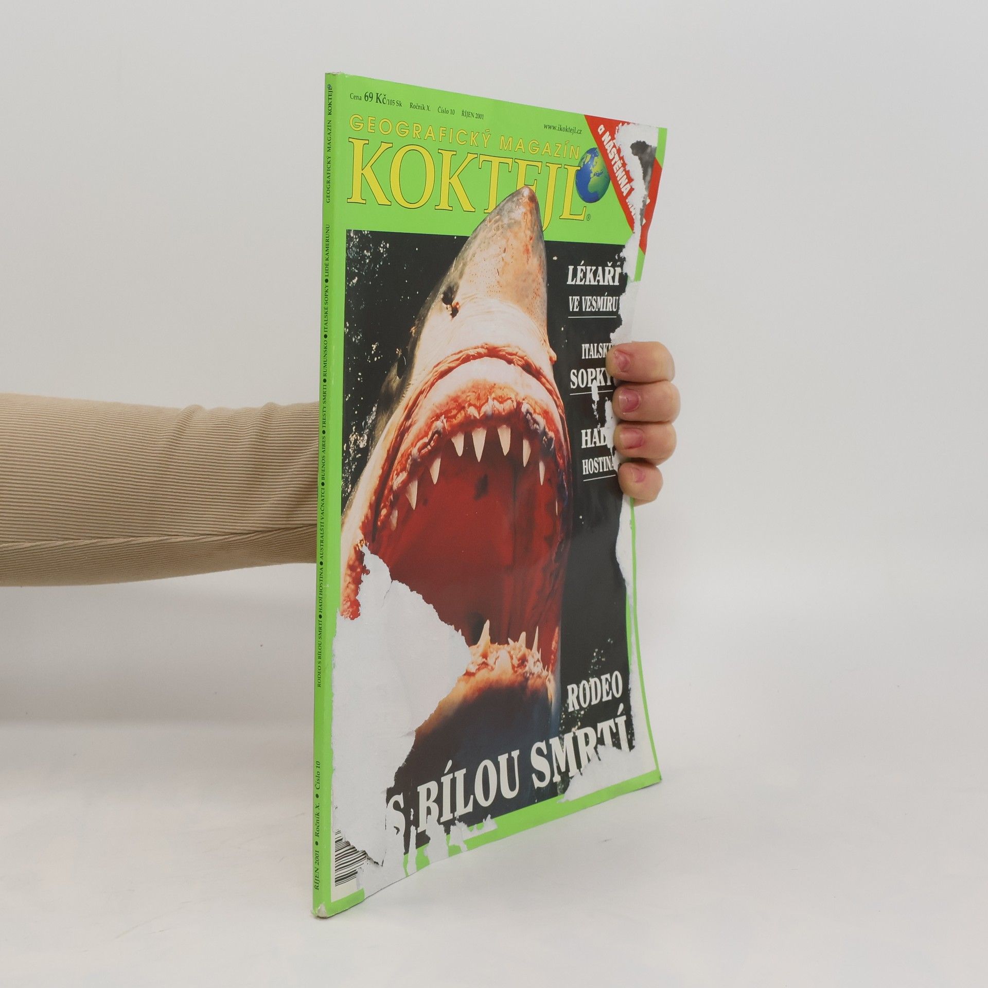 Kolektív autorov Koktejl 10/2001