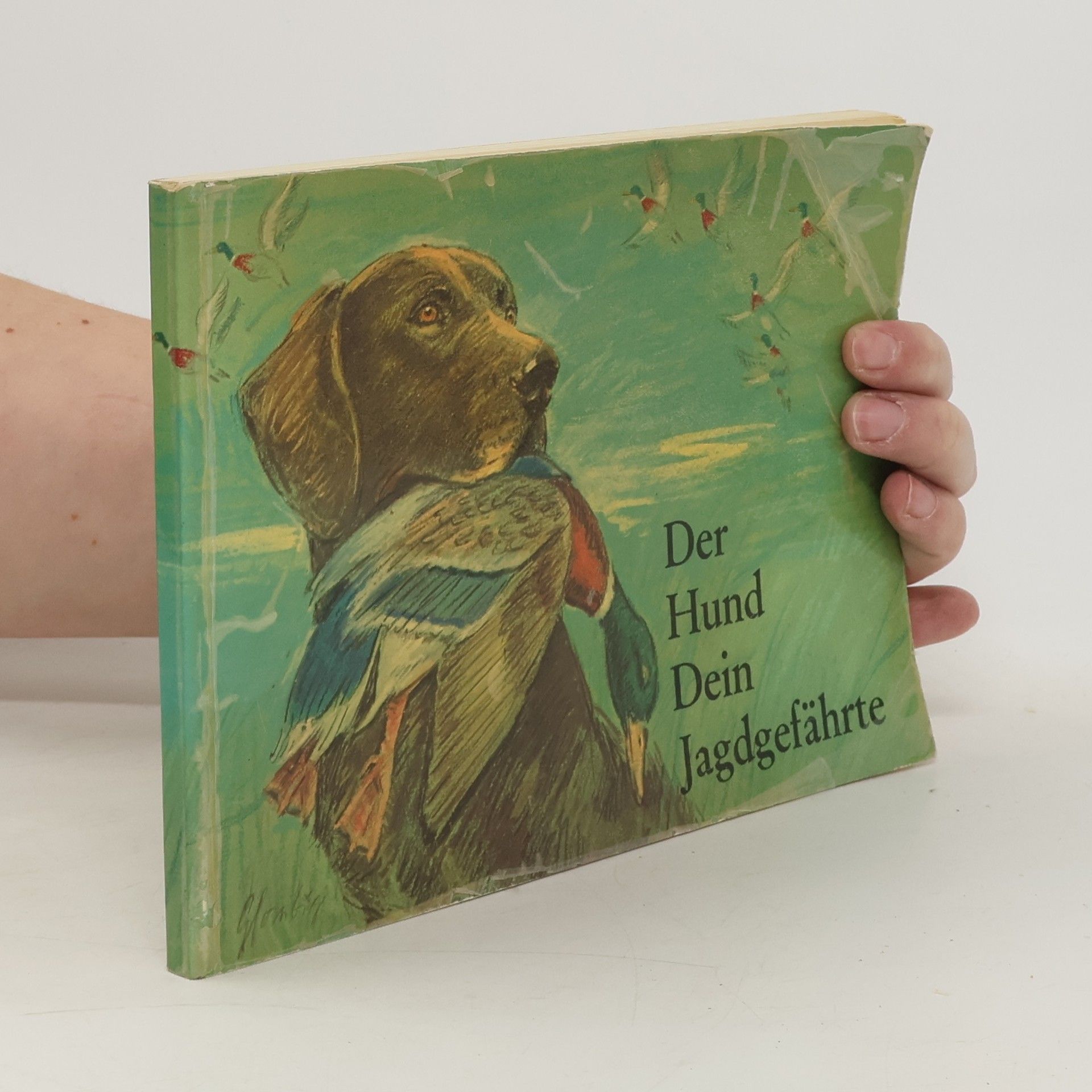 Autorenkollektiv Der Hund dein Jagdgefährte