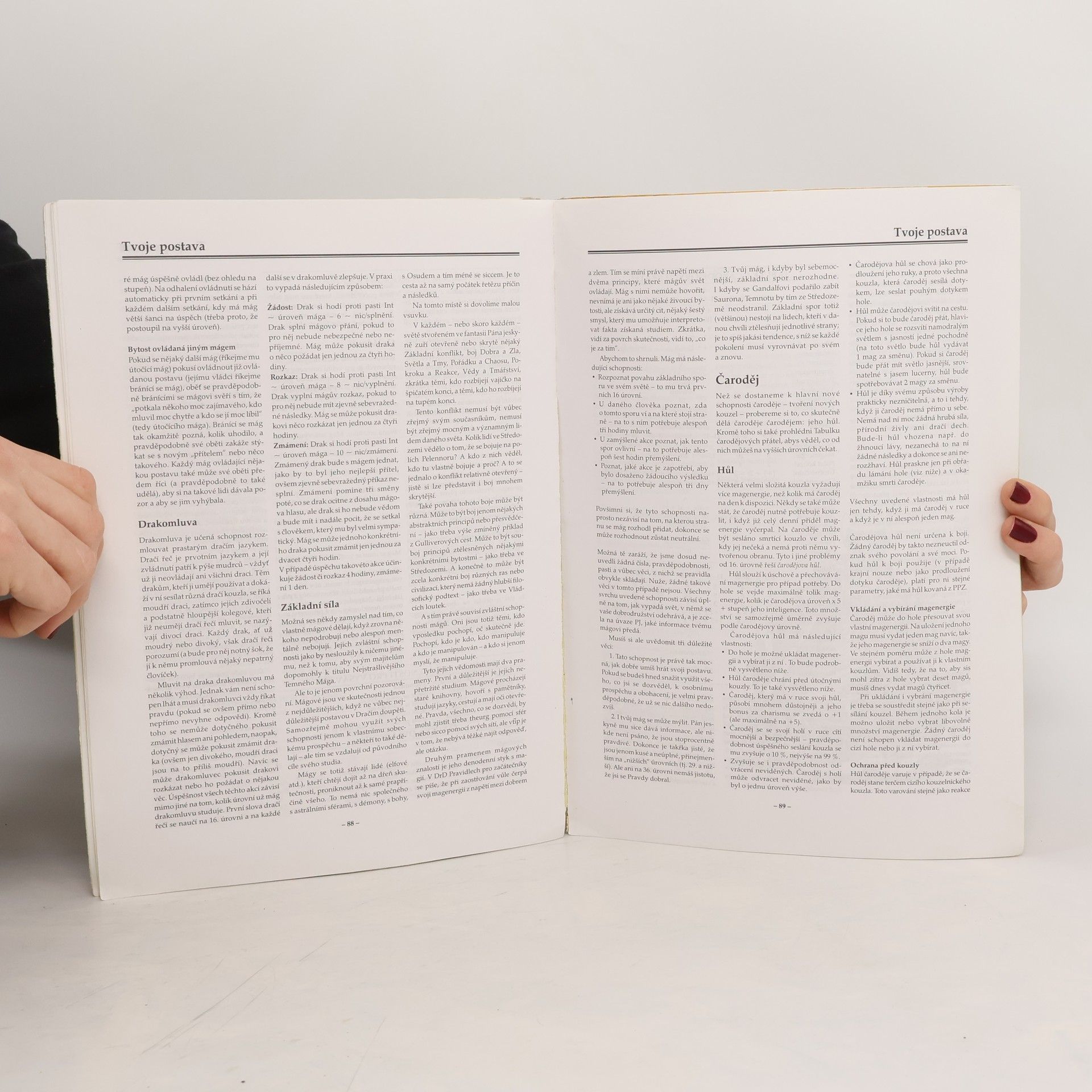 Collectif d'auteurs Dračí doupě. Pravidla pro experty. Postavy. Průvodce hrou