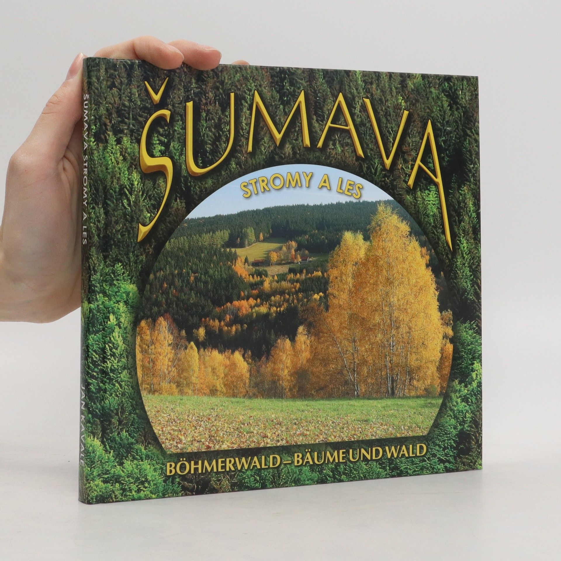 Jan Kavale Šumava. Stromy a les.  Böhmerwald - Bäume und Wald