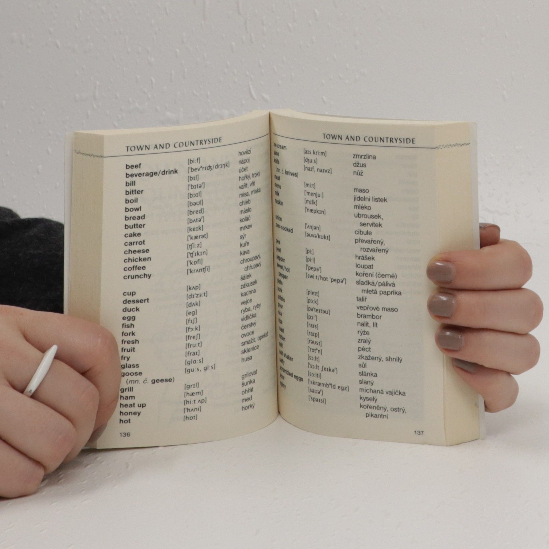 Collectif d'auteurs S angličtinou do světa