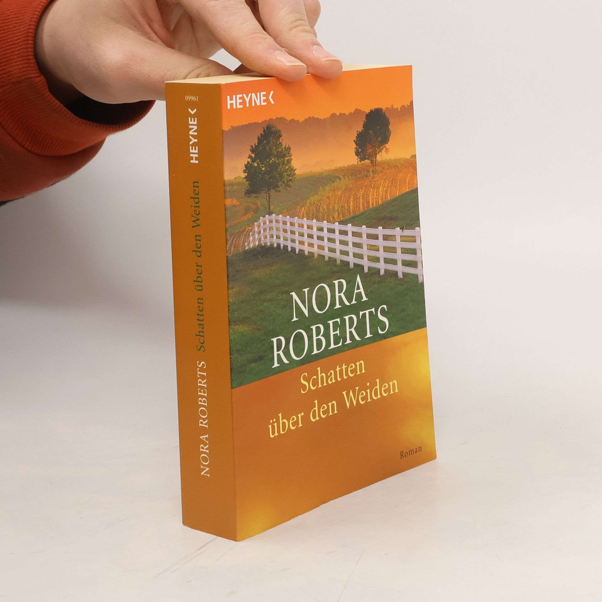 Nora Roberts Schatten über den Weiden