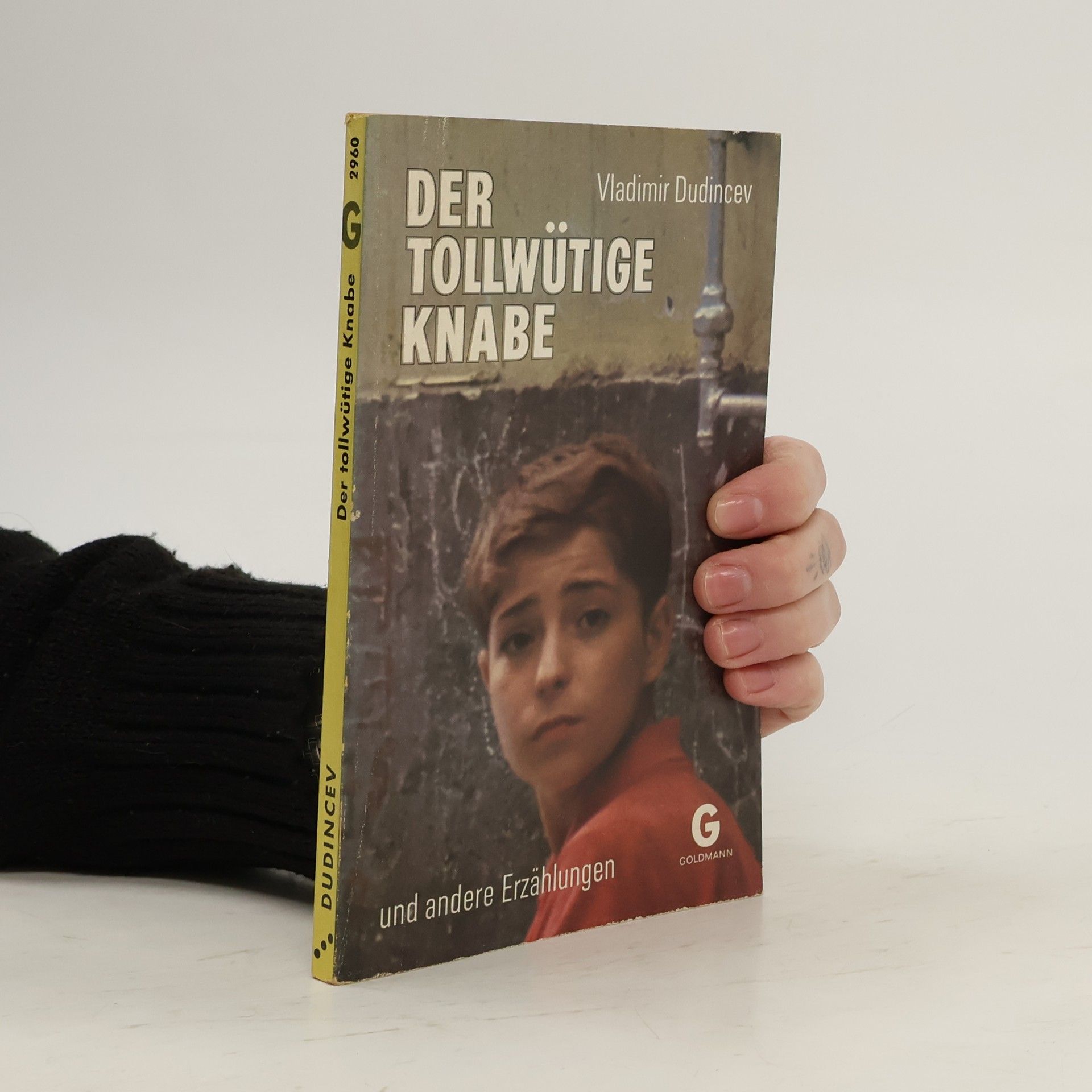 Vladimir D. Dudincev Der tollwütige Knabe und andere Erzählungen